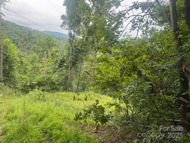 000 N Satellite Mountain RD N, Burnsville, NC 28714