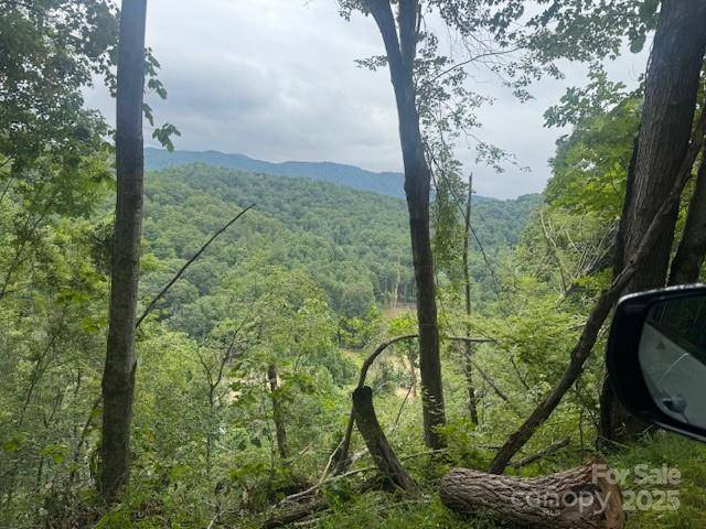 000 N Satellite Mountain RD N, Burnsville, NC 28714