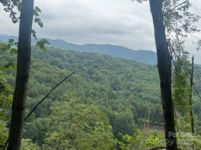000 N Satellite Mountain RD N, Burnsville, NC 28714