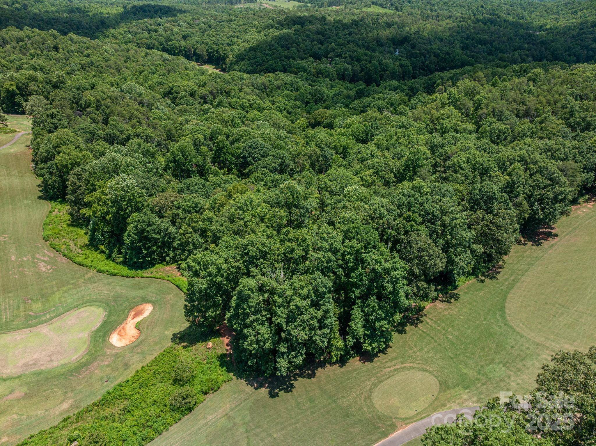 Lot 219 Plantation DR, Rutherfordton, NC 28139