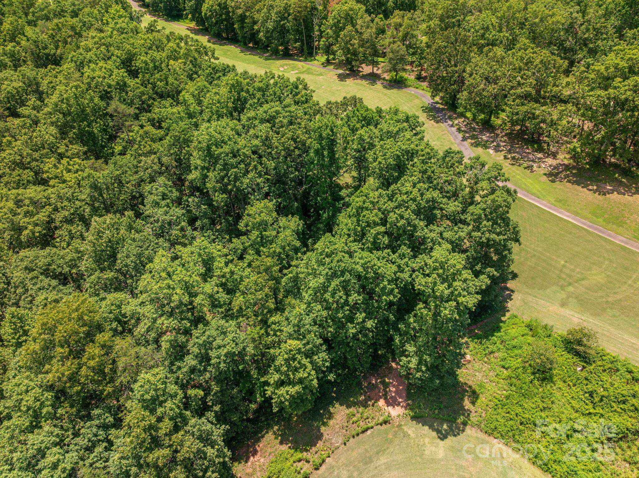 Lot 219 Plantation DR, Rutherfordton, NC 28139