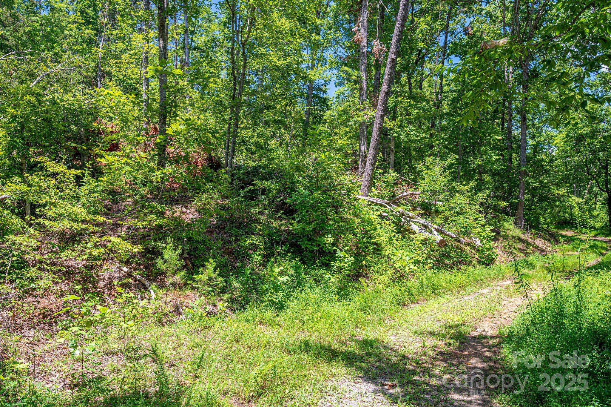 Lot 221 Plantation DR, Rutherfordton, NC 28139