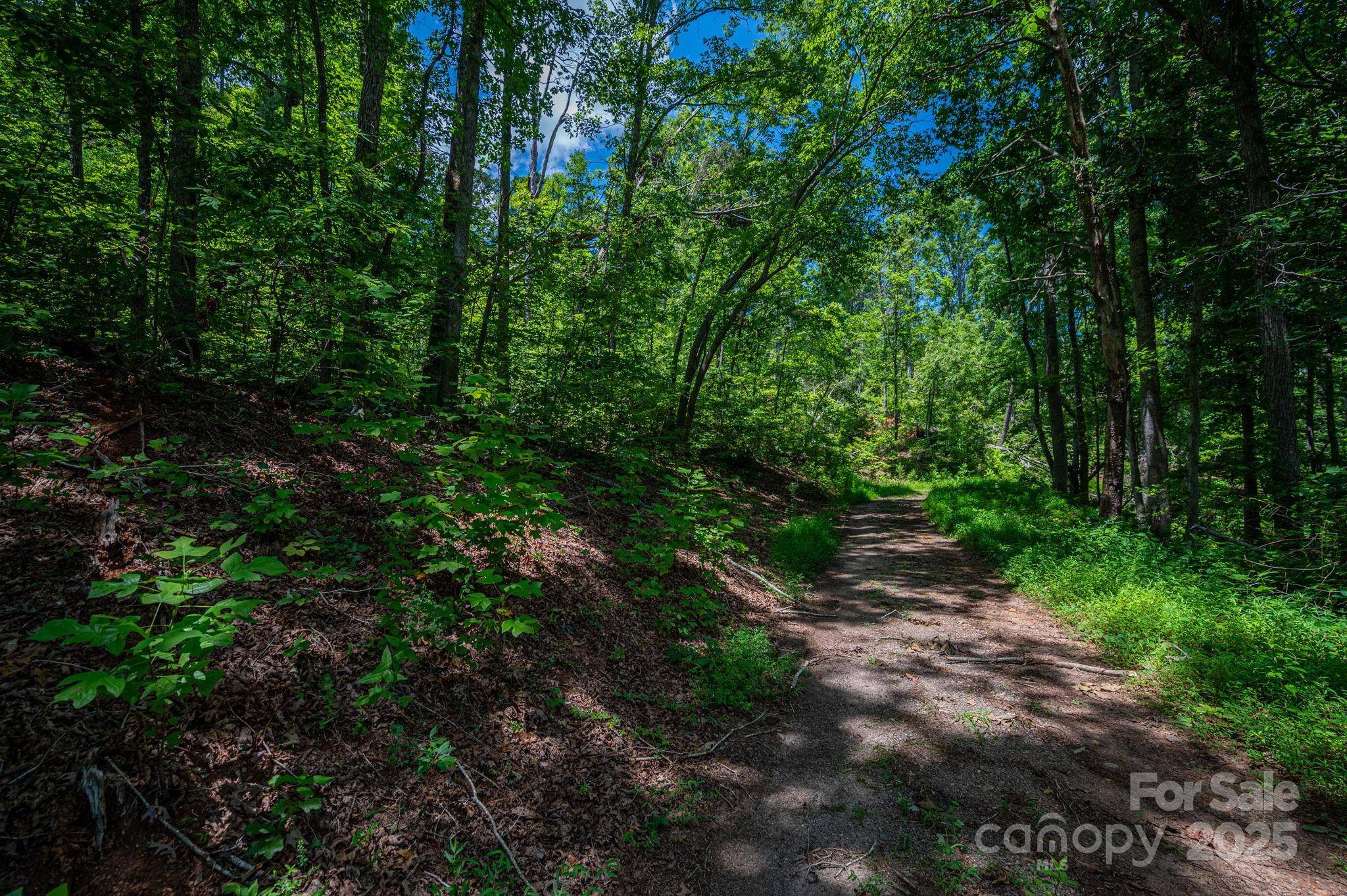 Lot 221 Plantation DR, Rutherfordton, NC 28139