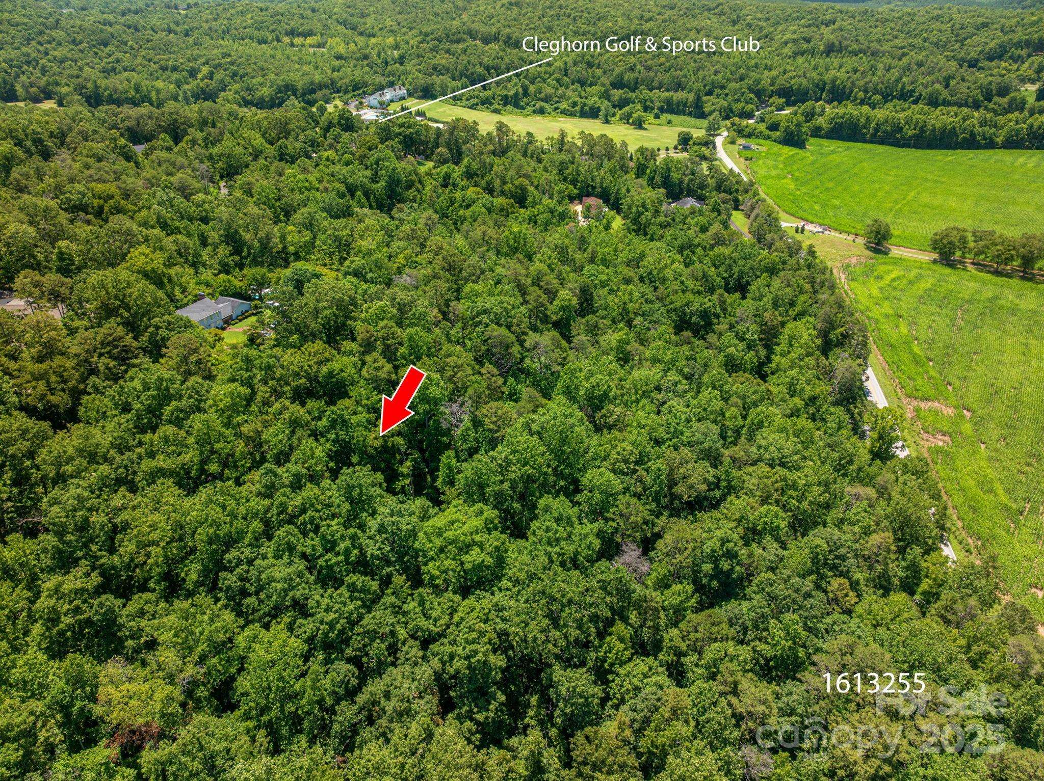 Lot 167 Plantation DR, Rutherfordton, NC 28139