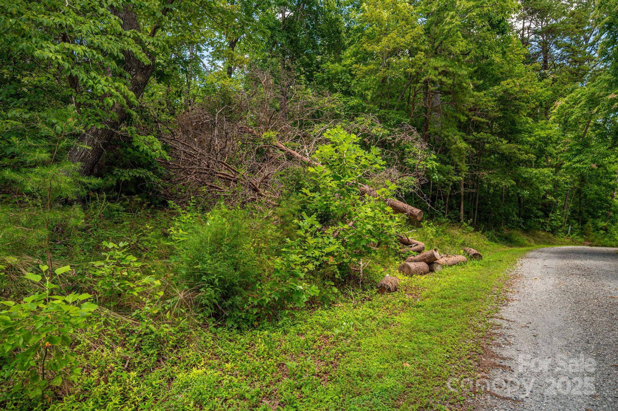 Lot 208 Plantation DR, Rutherfordton, NC 28139