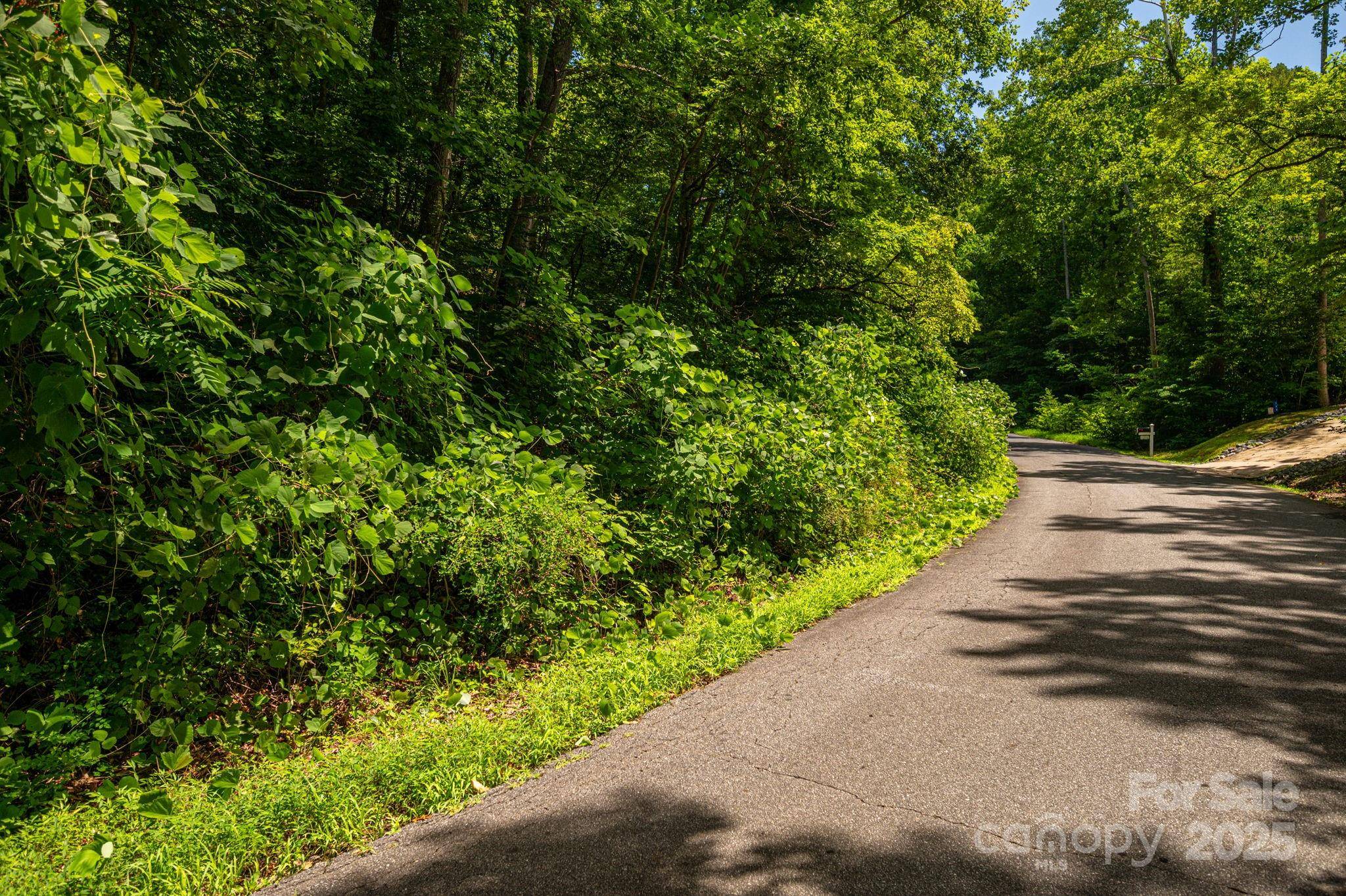 Lot 164 Plantation DR, Rutherfordton, NC 28139