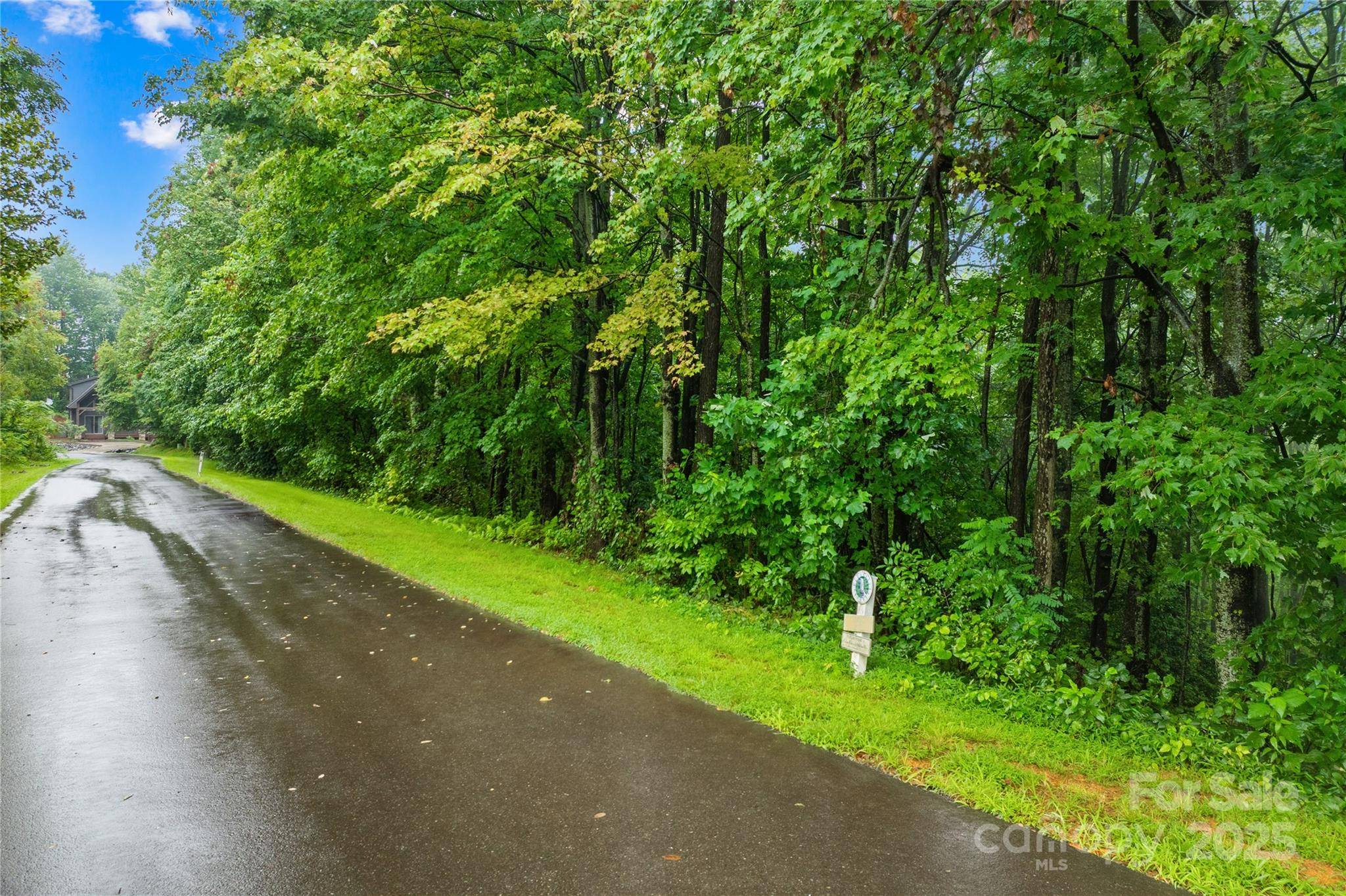 262 Feather Falls TRL #3, Black Mountain, NC 28762