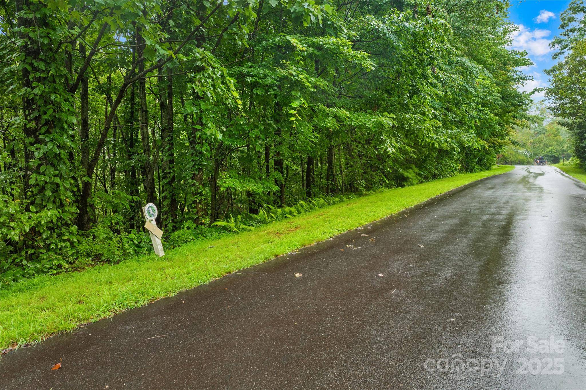 262 Feather Falls TRL #3, Black Mountain, NC 28762