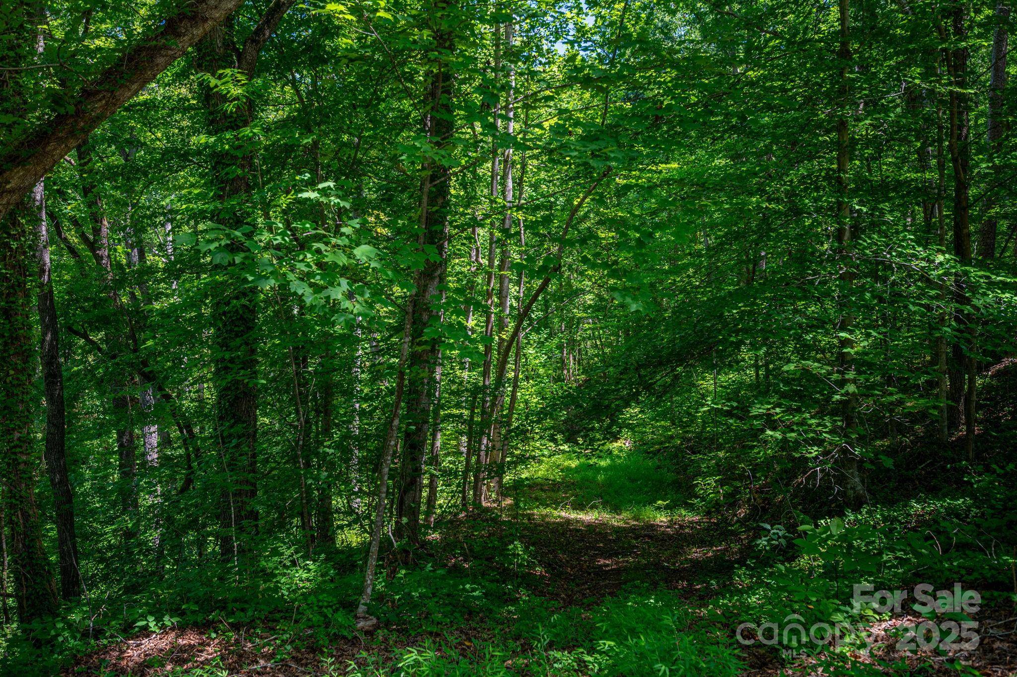 LOT 168 Plantation DR, Rutherfordton, NC 28139