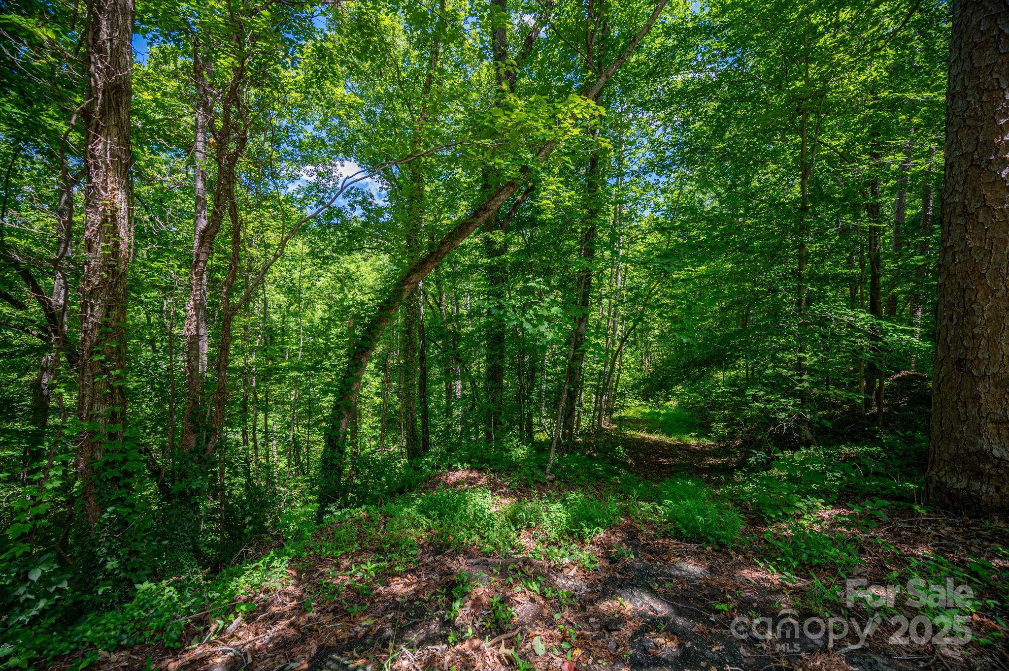 LOT 168 Plantation DR, Rutherfordton, NC 28139