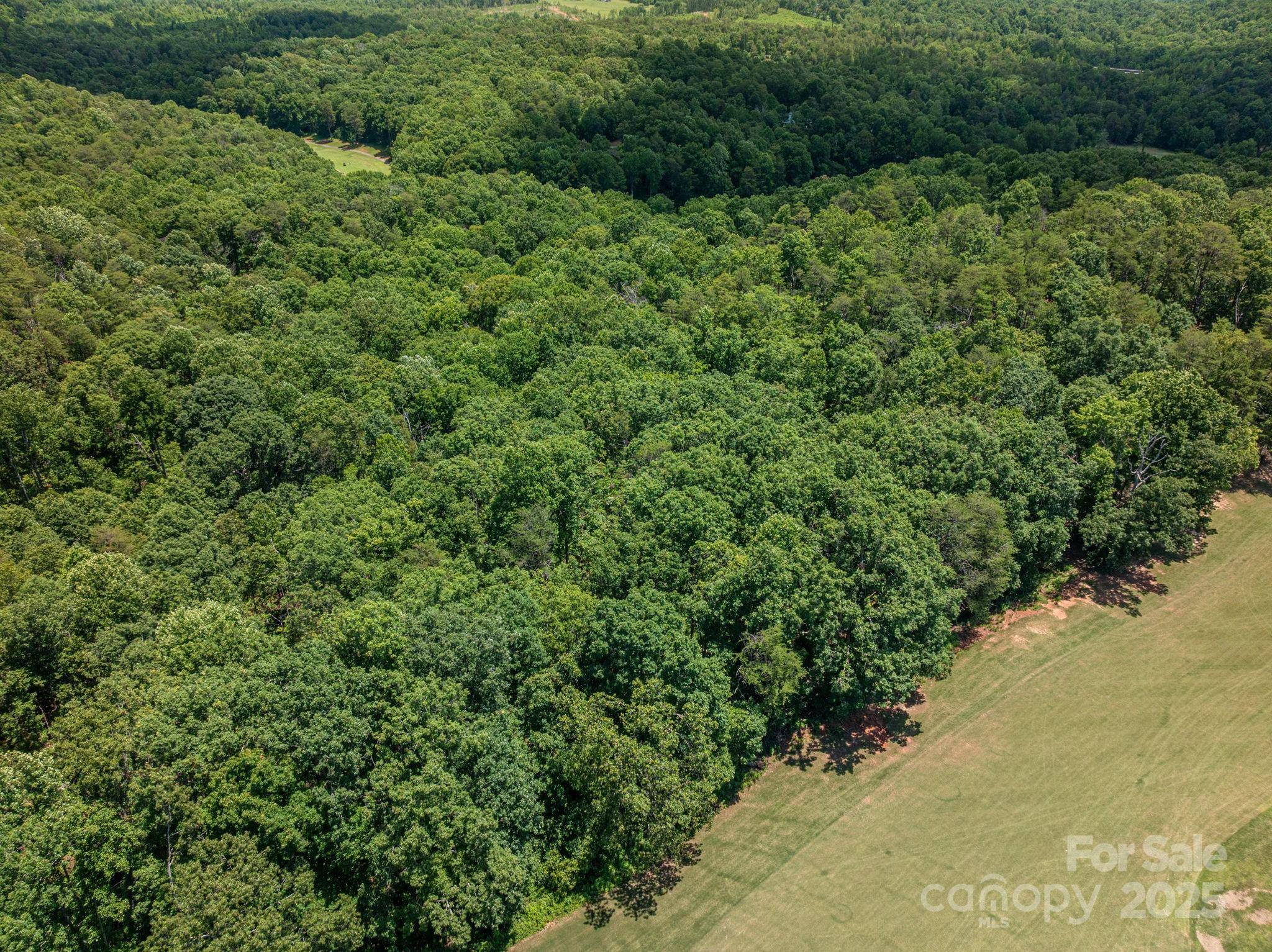Lot 217 Plantation DR, Rutherfordton, NC 28139