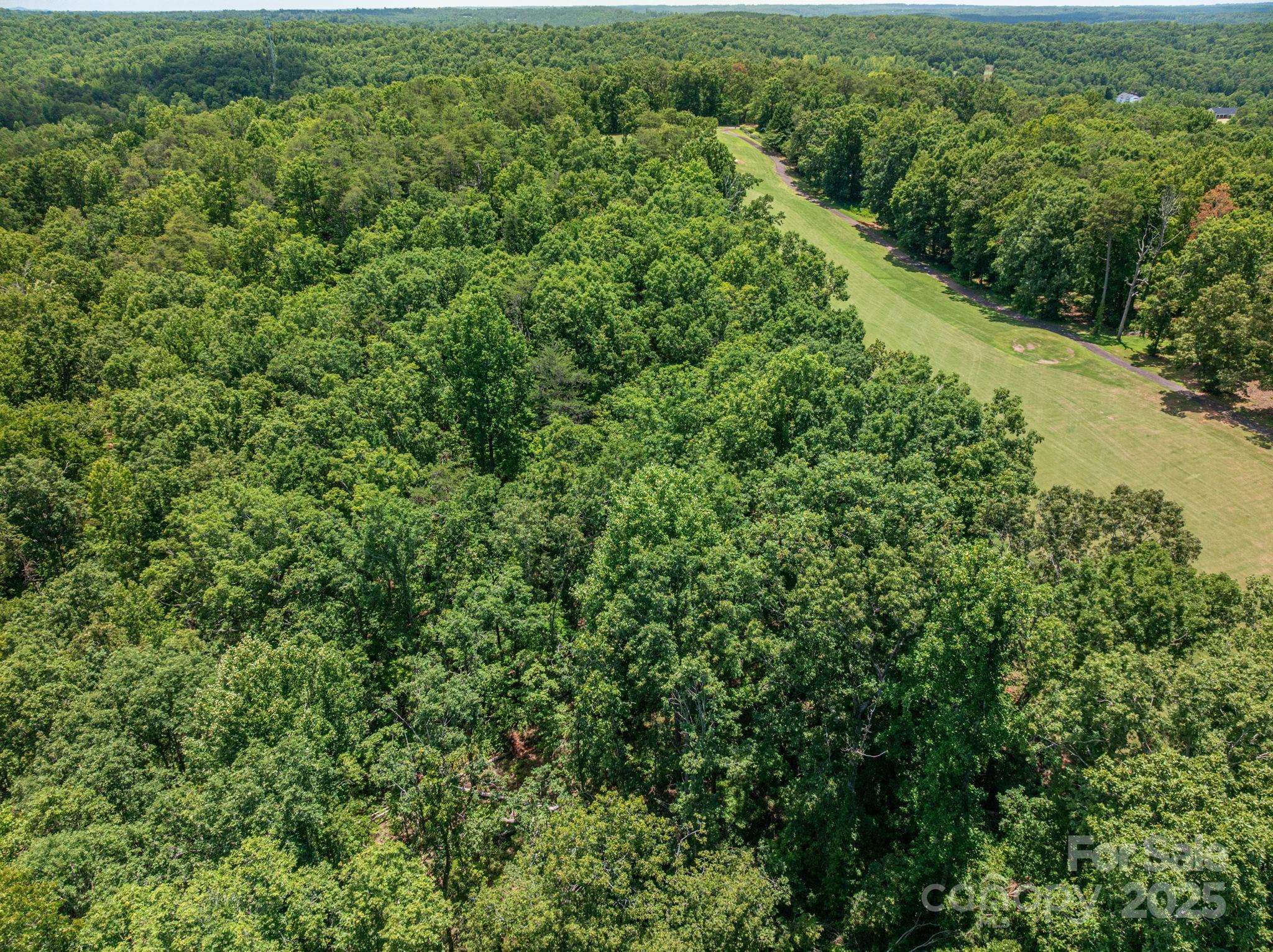 Lot 217 Plantation DR, Rutherfordton, NC 28139