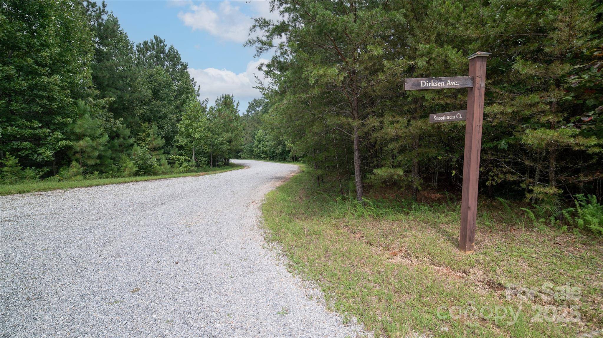 Lot 84 Smoothstem CT, Nebo, NC 28761