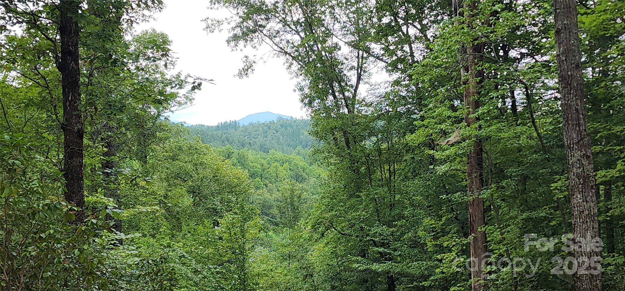 LOT 3 S Cross Creek TRL, Mill Spring, NC 28756