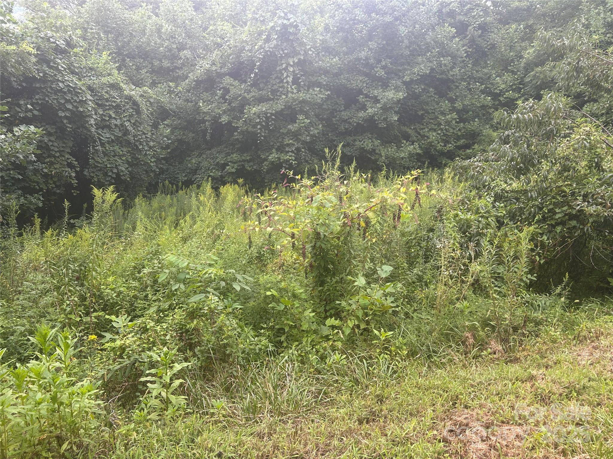103 Cambridge WAY, Waynesville, NC 28786