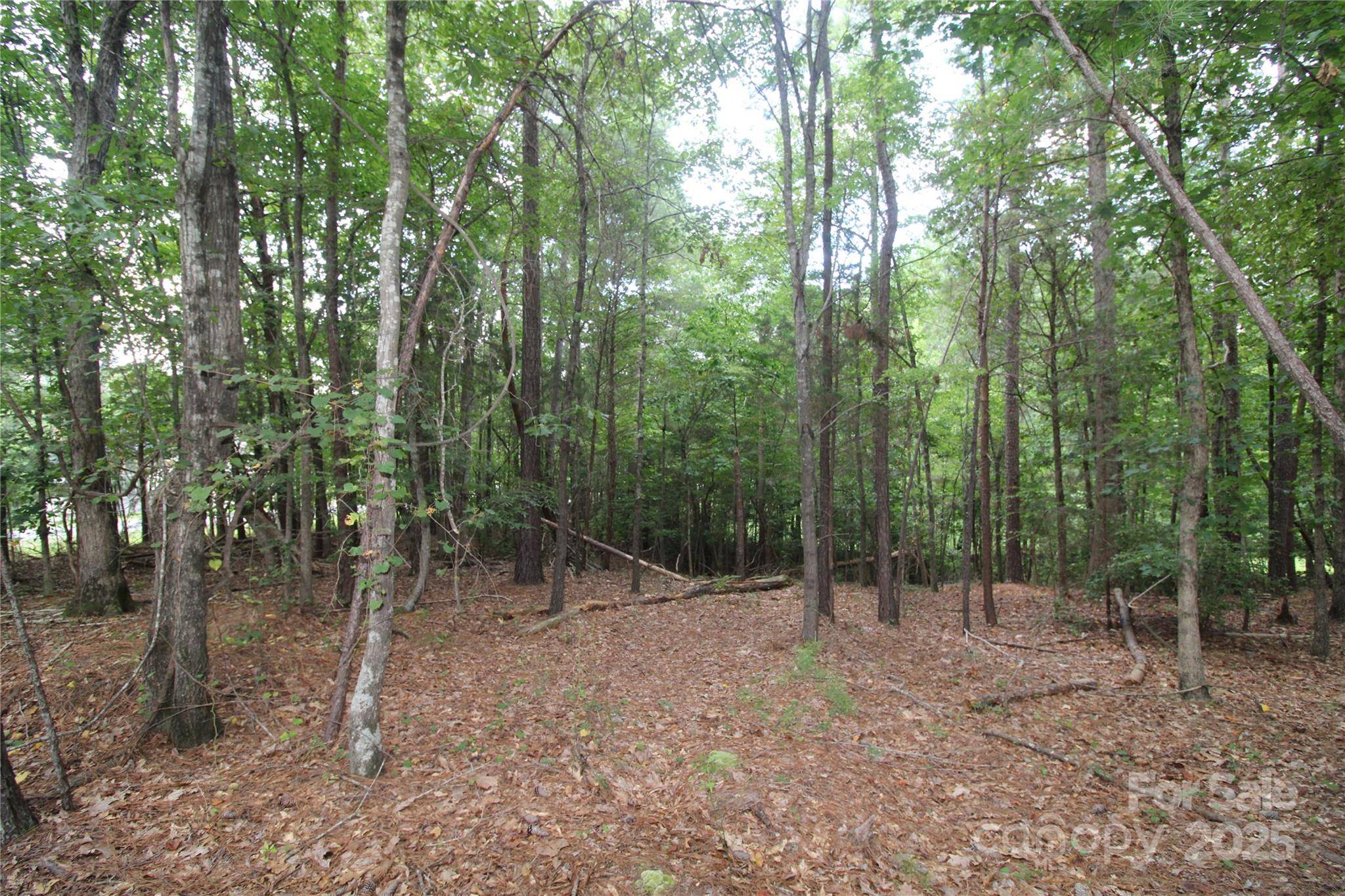 Lot 1 Lake Wylie DR, Rock Hill, SC 29732