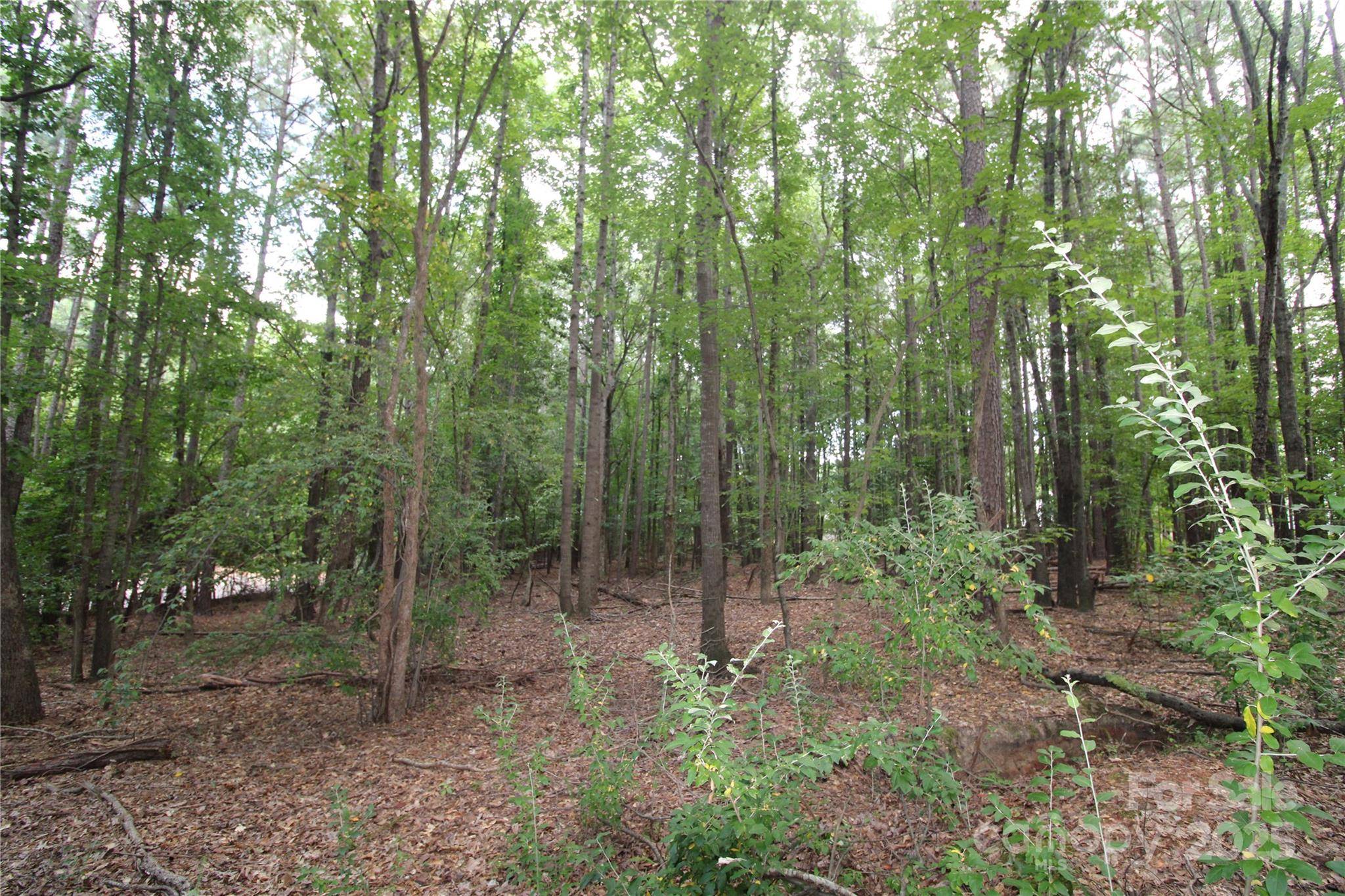 Lot 1 Lake Wylie DR, Rock Hill, SC 29732
