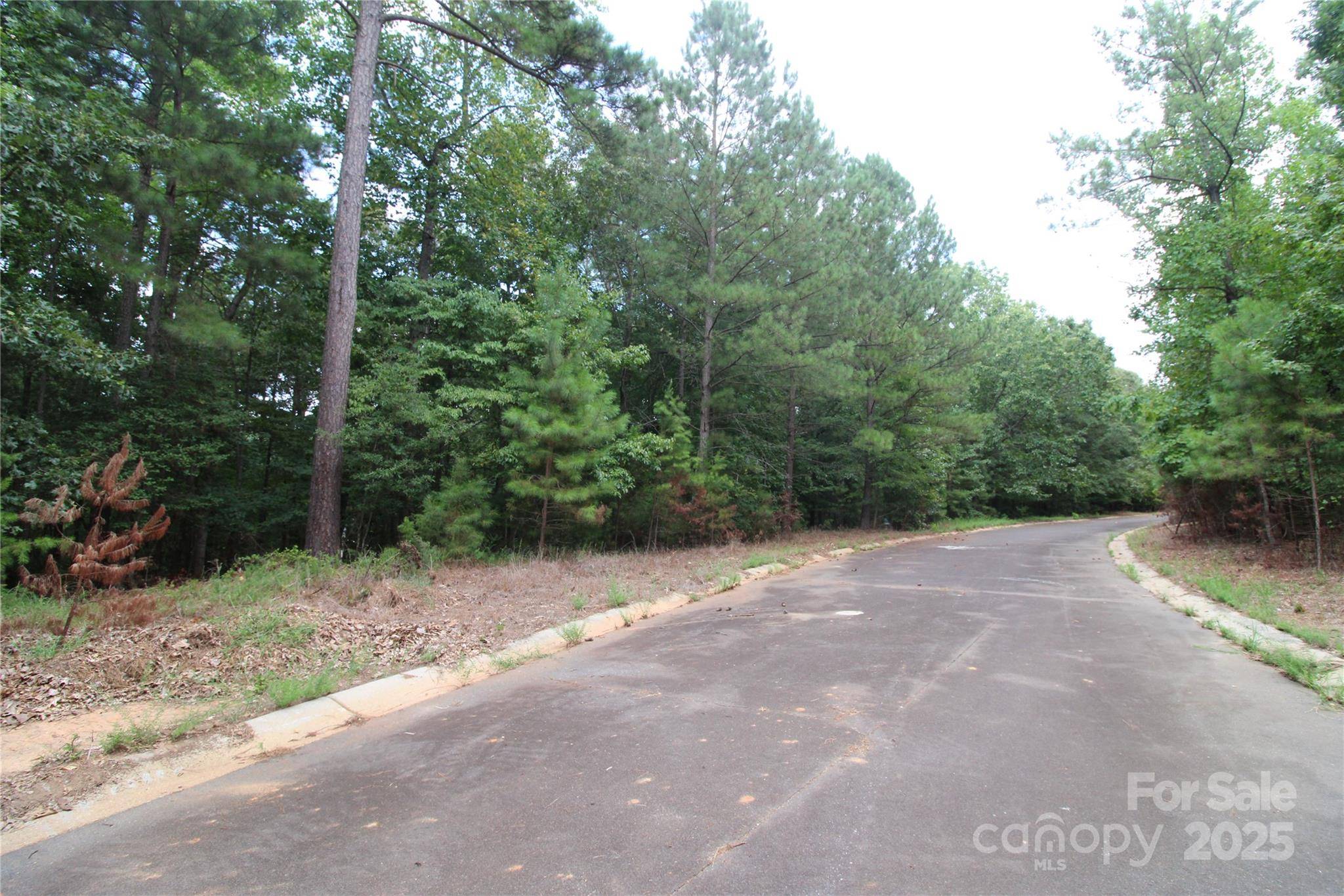 Lot 2 Lake Wylie DR, Rock Hill, SC 29732