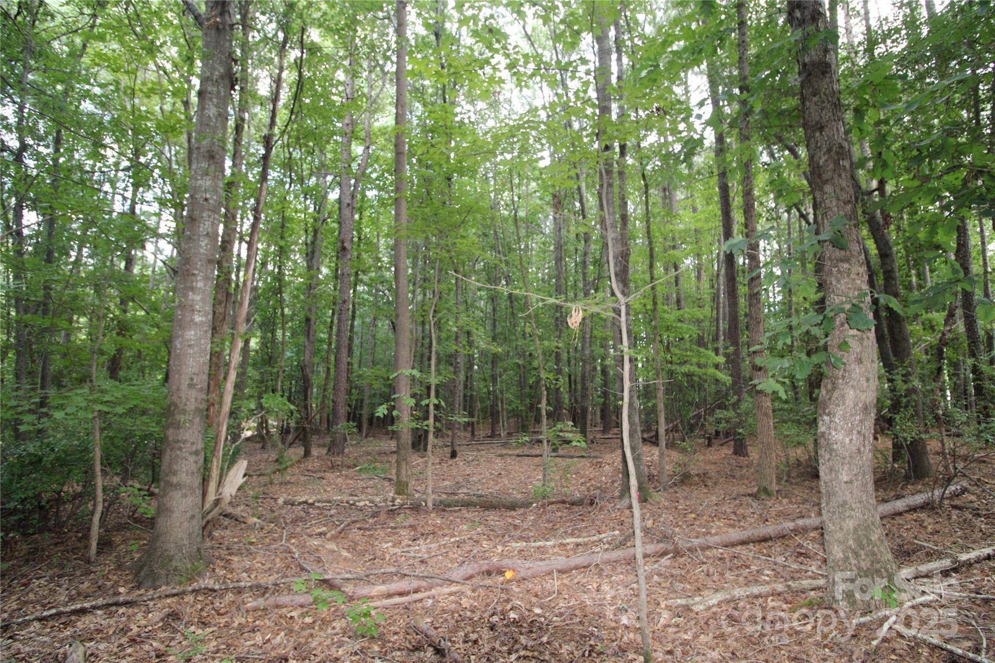 Lot 2 Lake Wylie DR, Rock Hill, SC 29732