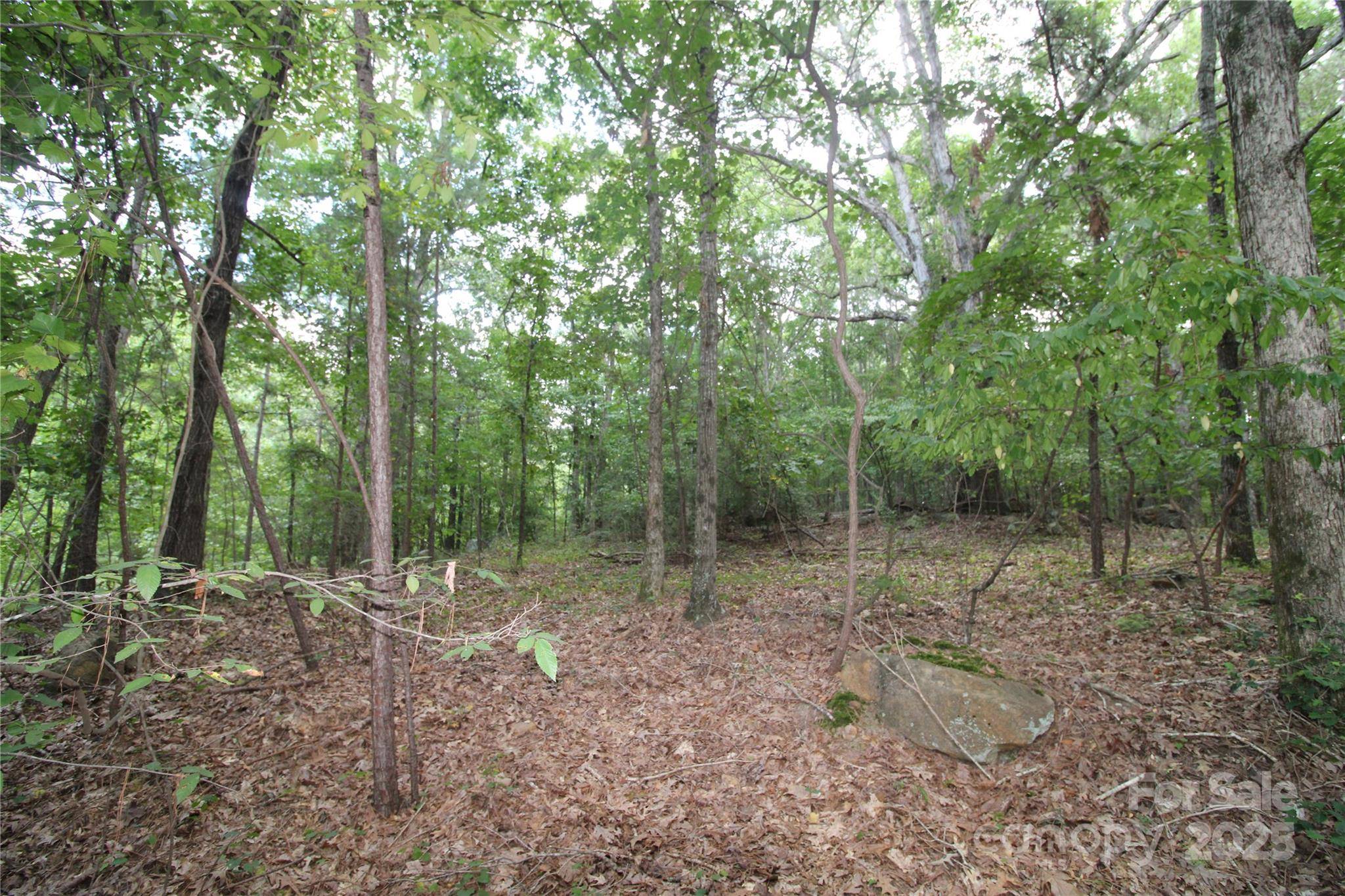 Lot 4 Lake Wylie DR, Rock Hill, SC 29732
