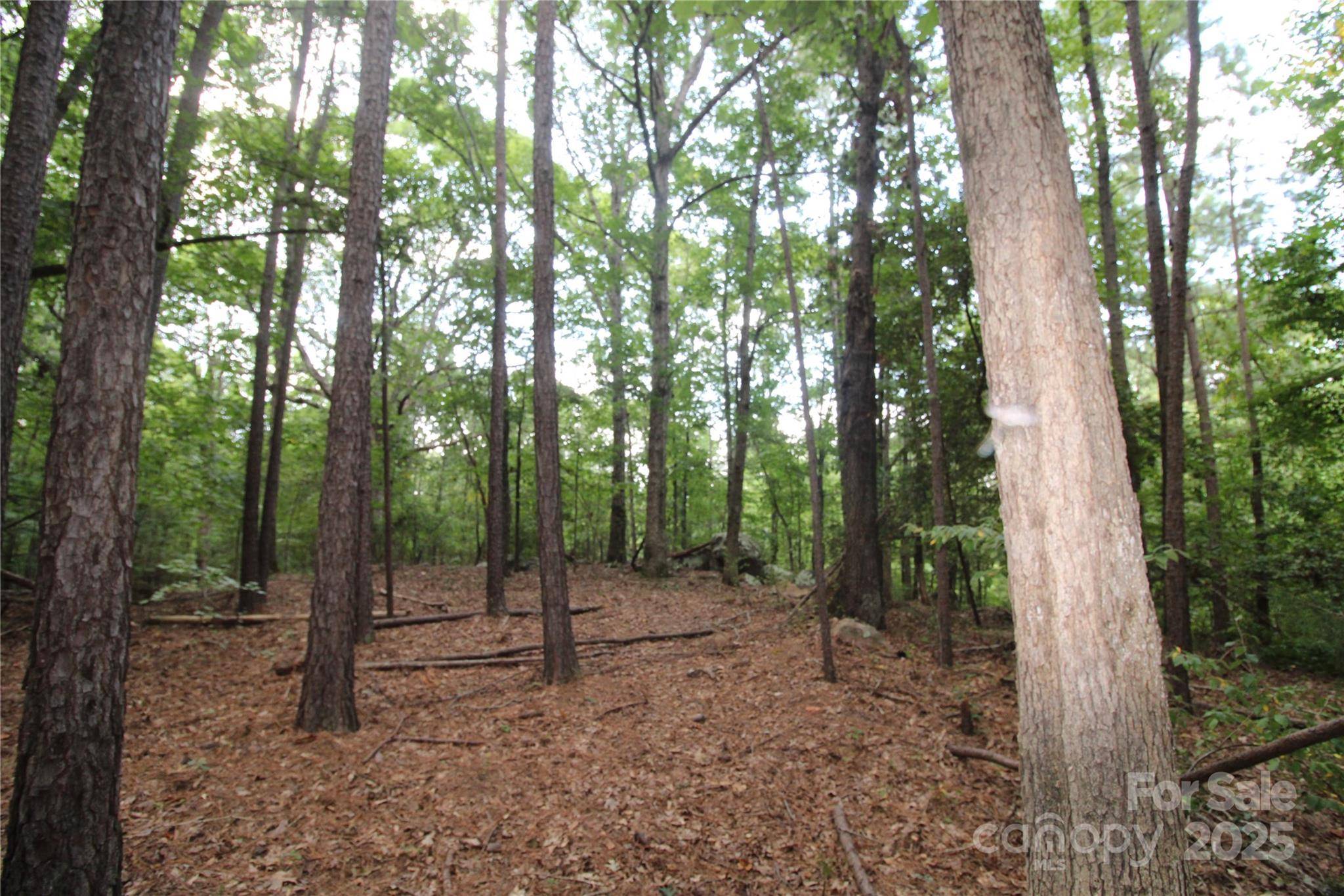 Lot 4 Lake Wylie DR, Rock Hill, SC 29732