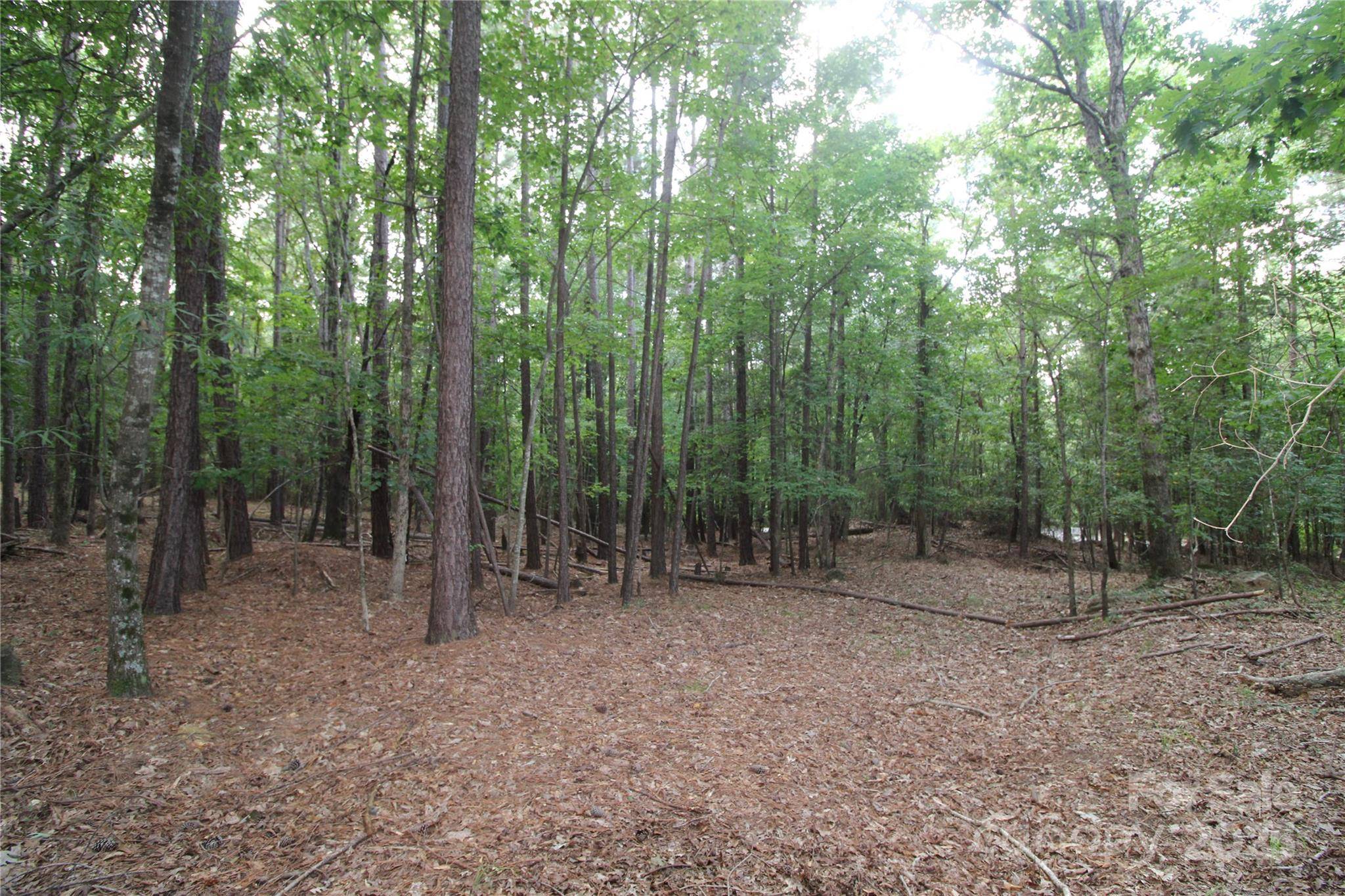 Lot 6 Lake Wylie DR, Rock Hill, SC 29732