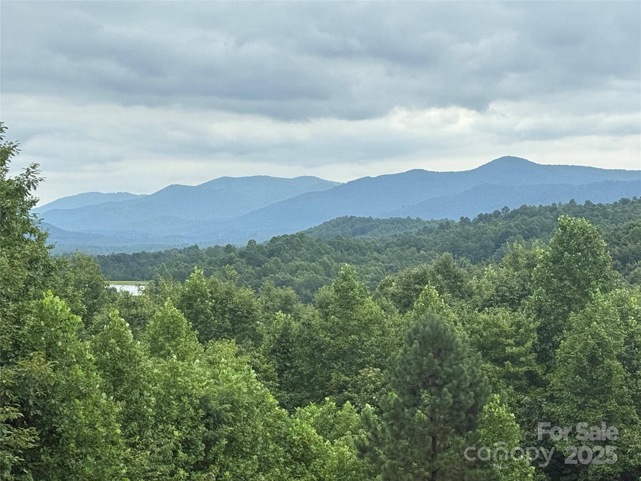 166 Coal Pit Mountain DR #359, Nebo, NC 28761