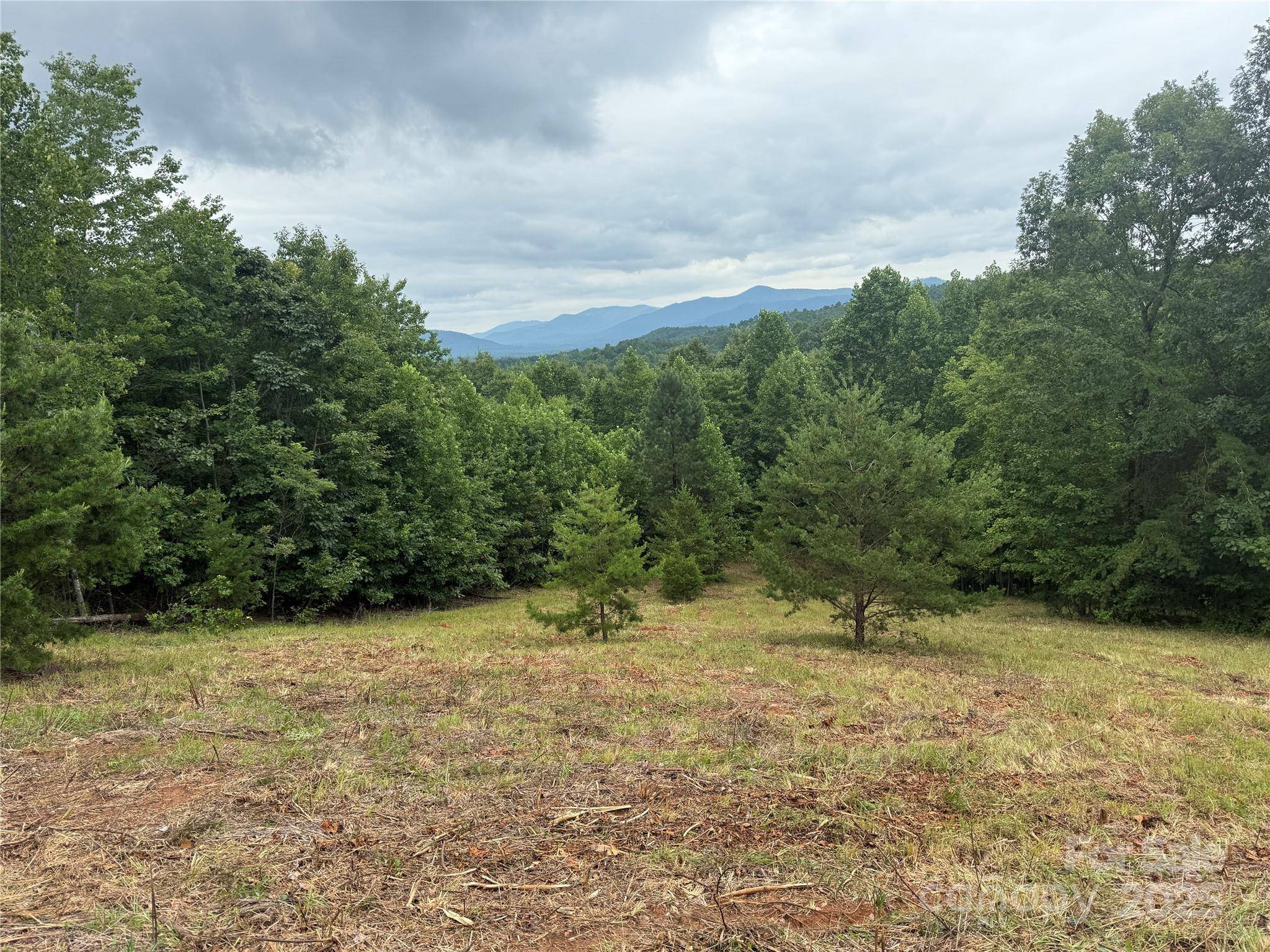 166 Coal Pit Mountain DR #359, Nebo, NC 28761