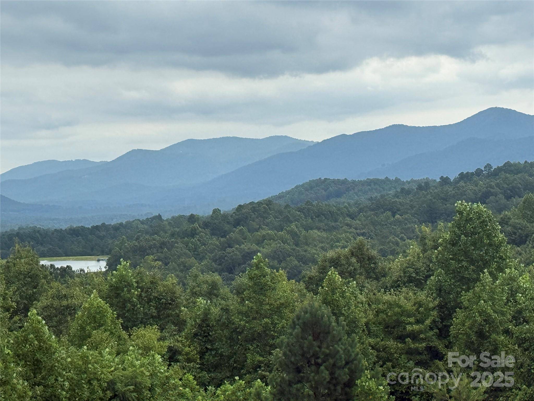 166 Coal Pit Mountain DR #359, Nebo, NC 28761