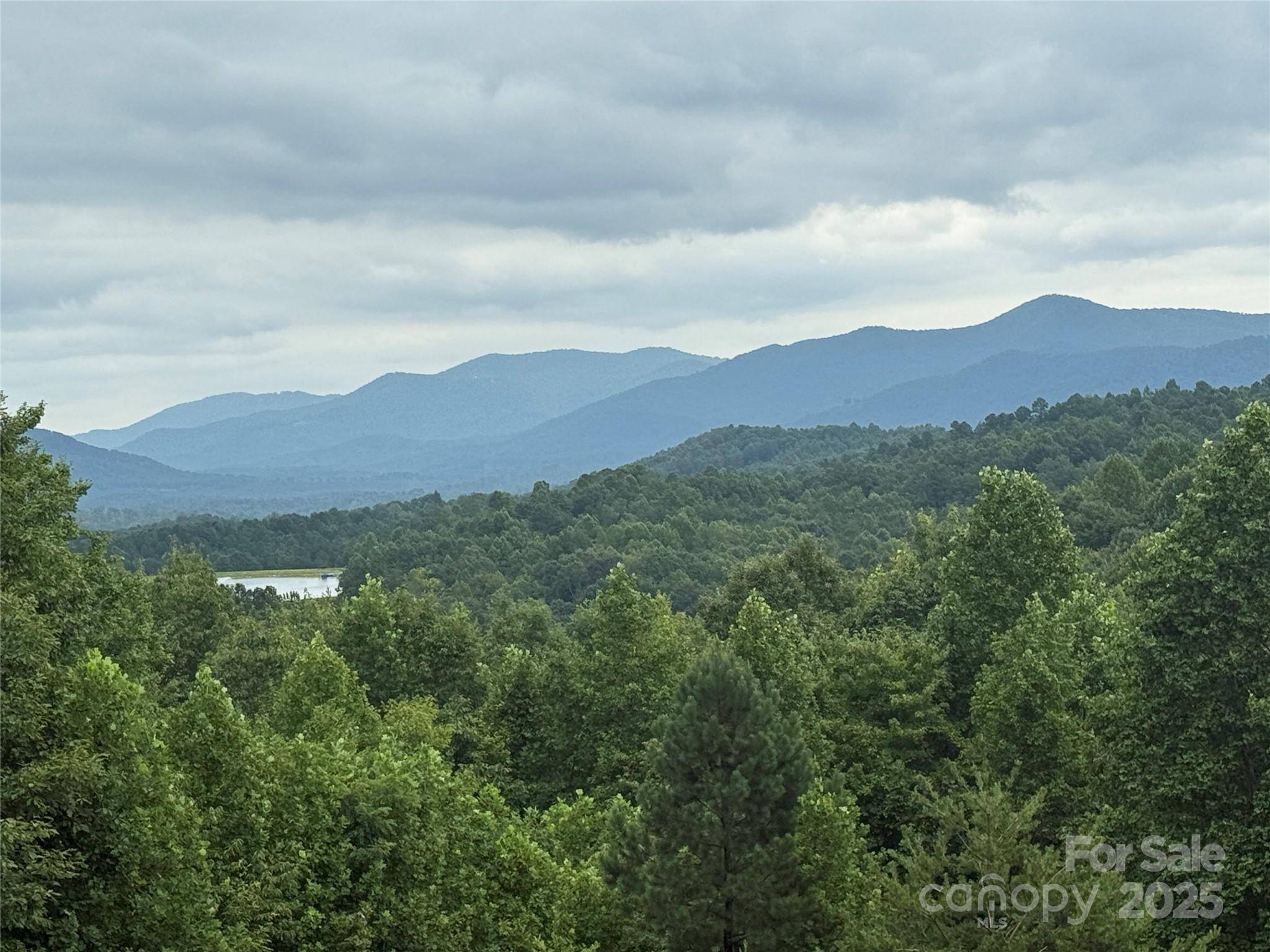 166 Coal Pit Mountain DR #359, Nebo, NC 28761