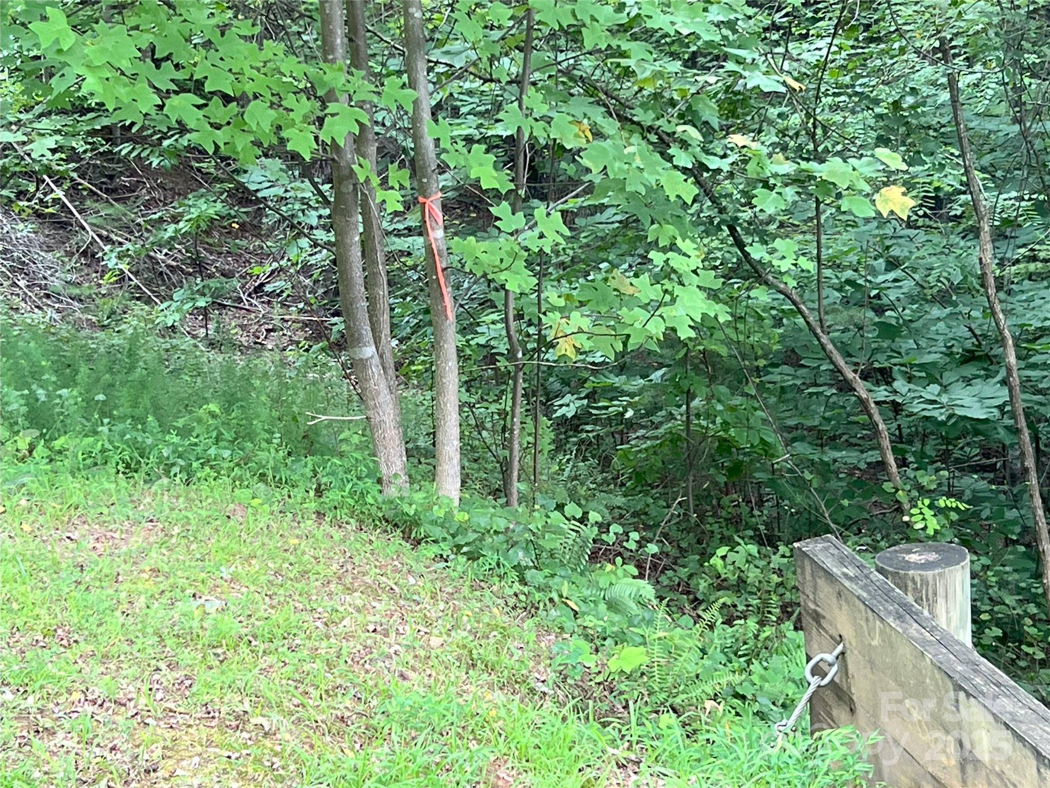 00 Deep Gap RD E #97, Mill Spring, NC 28756
