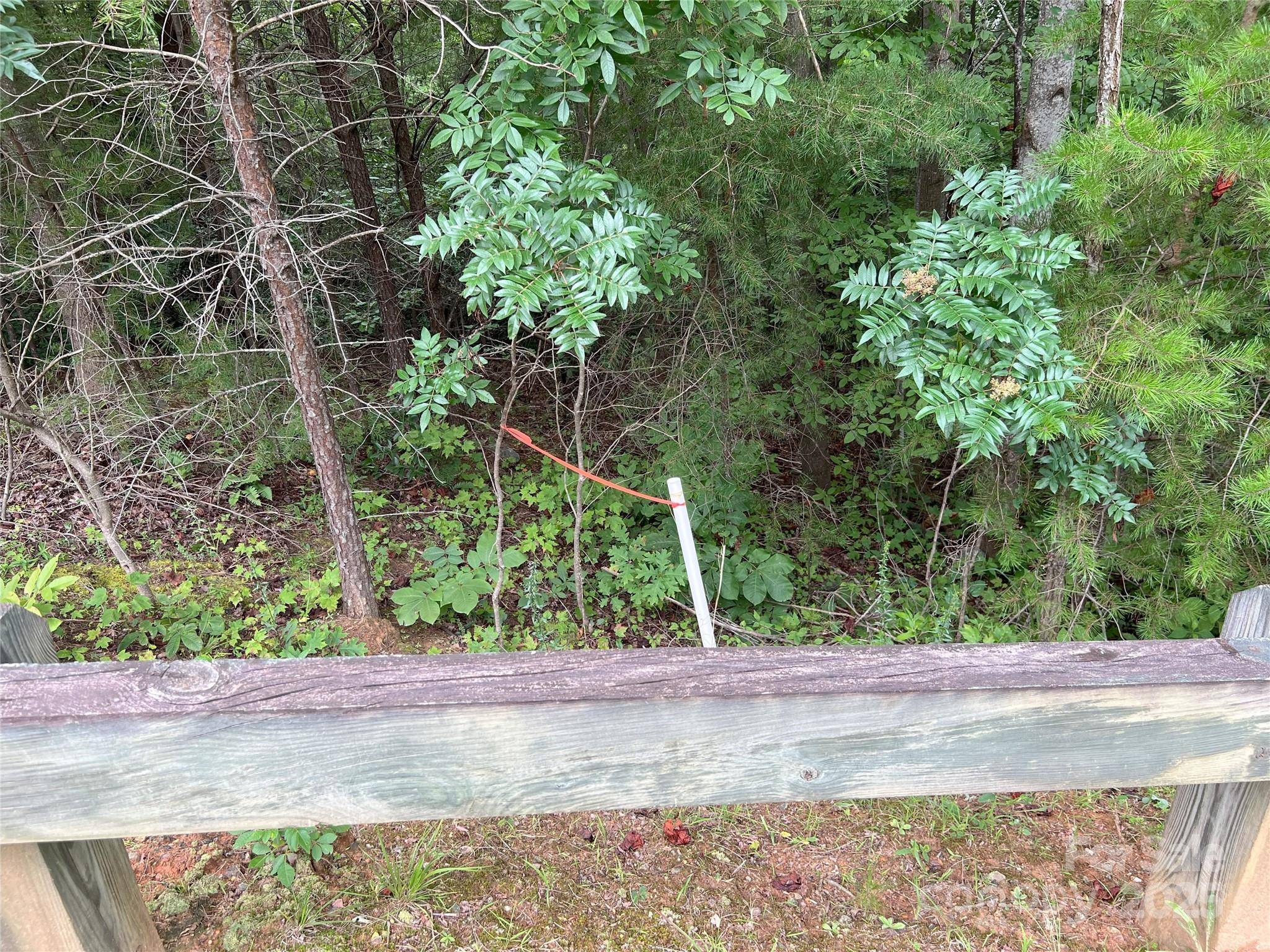 00 Deep Gap RD E #97, Mill Spring, NC 28756