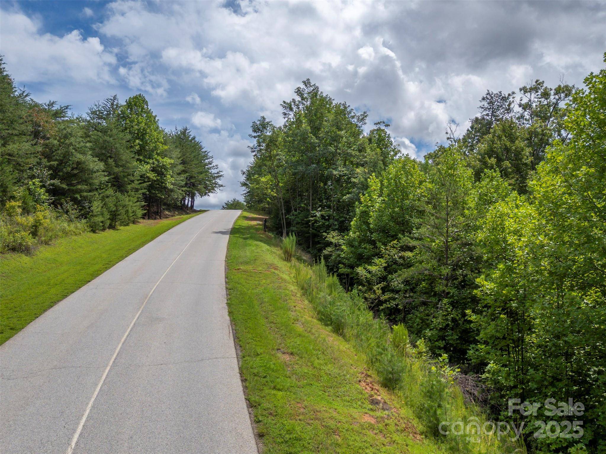 00 Deep Gap RD E #97, Mill Spring, NC 28756