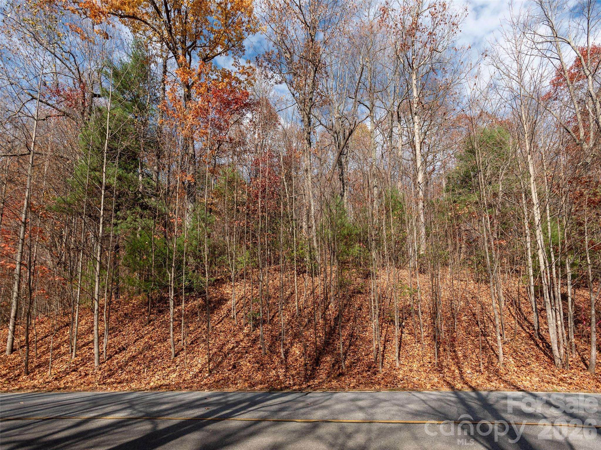 128 Pinnacle Peak LN, Flat Rock, NC 28731