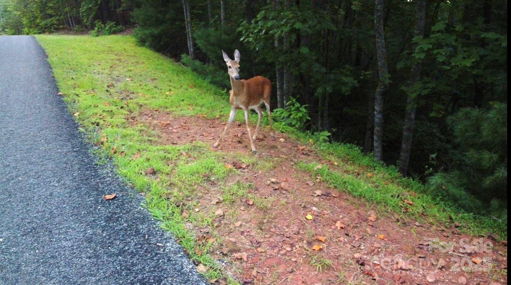 lots 11/12 South Pointe RD, Mill Spring, NC 28756