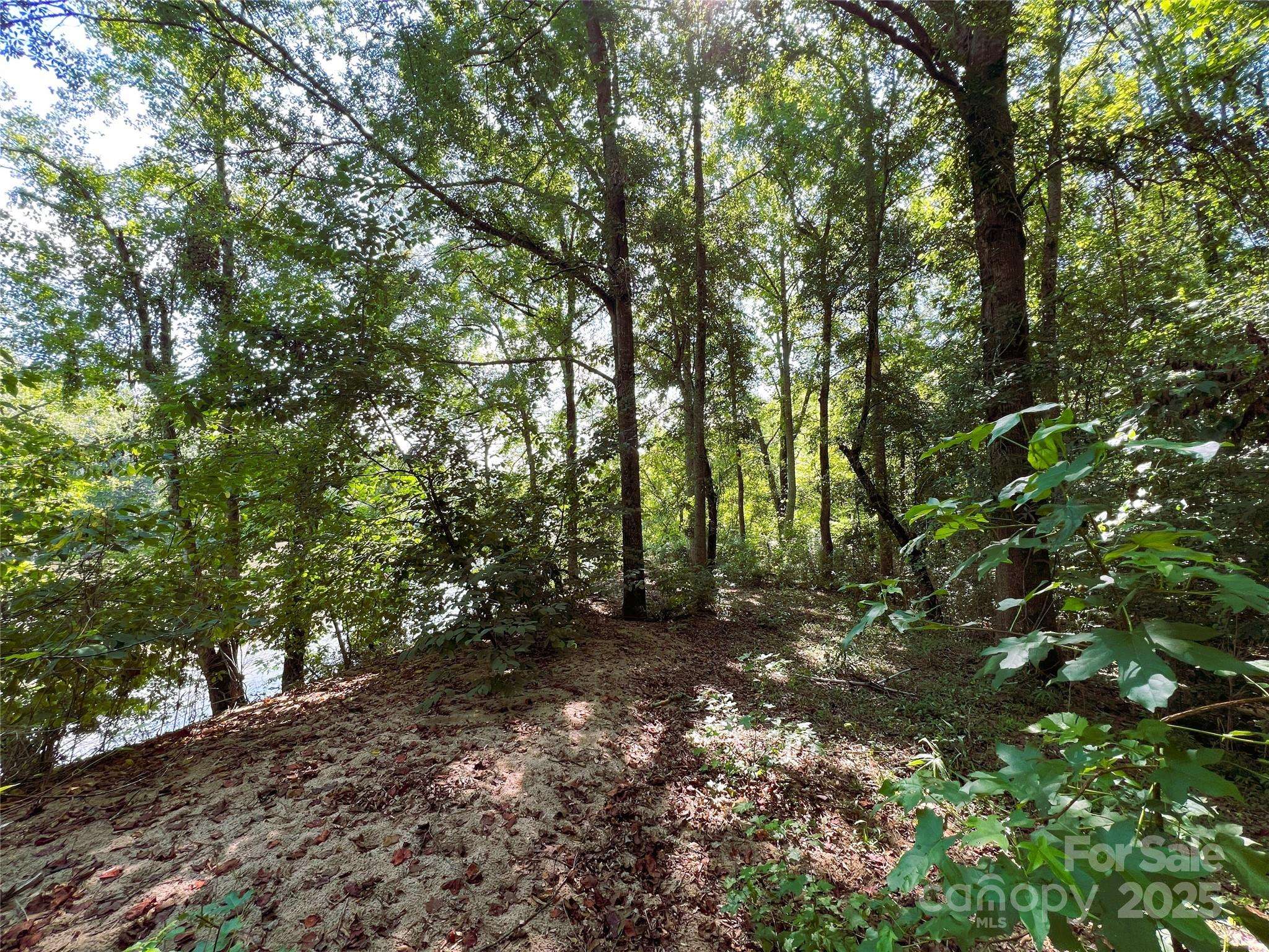 Lot 3B Broad River Highlands DR, Mooresboro, NC 28114