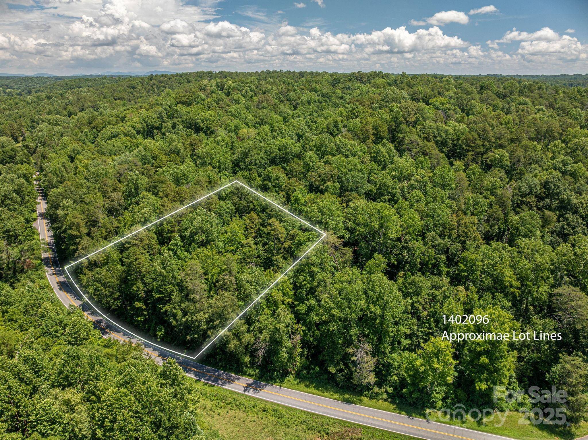 Lot 162 Coxe RD, Rutherfordton, NC 28139