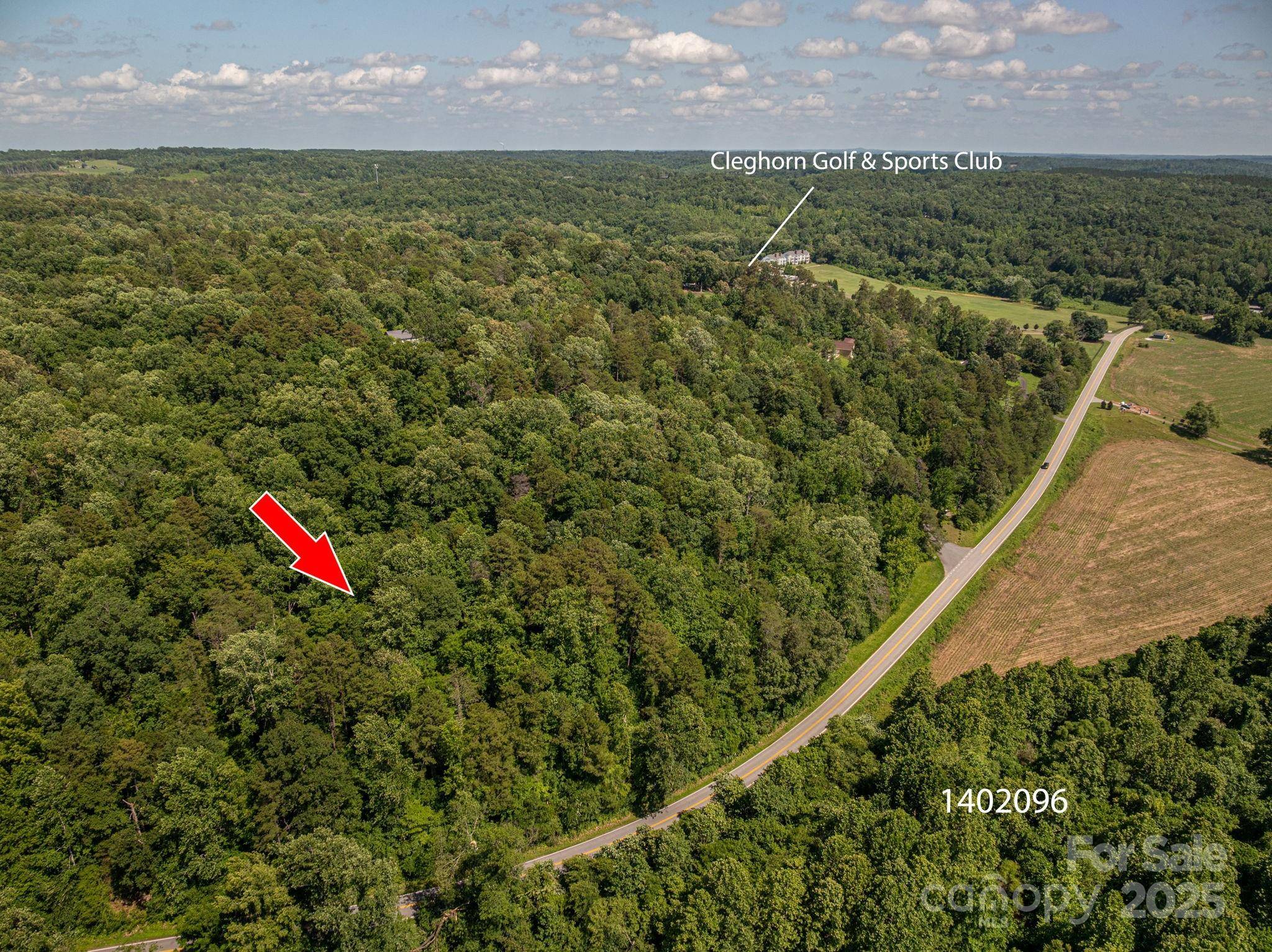 Lot 162 Coxe RD, Rutherfordton, NC 28139