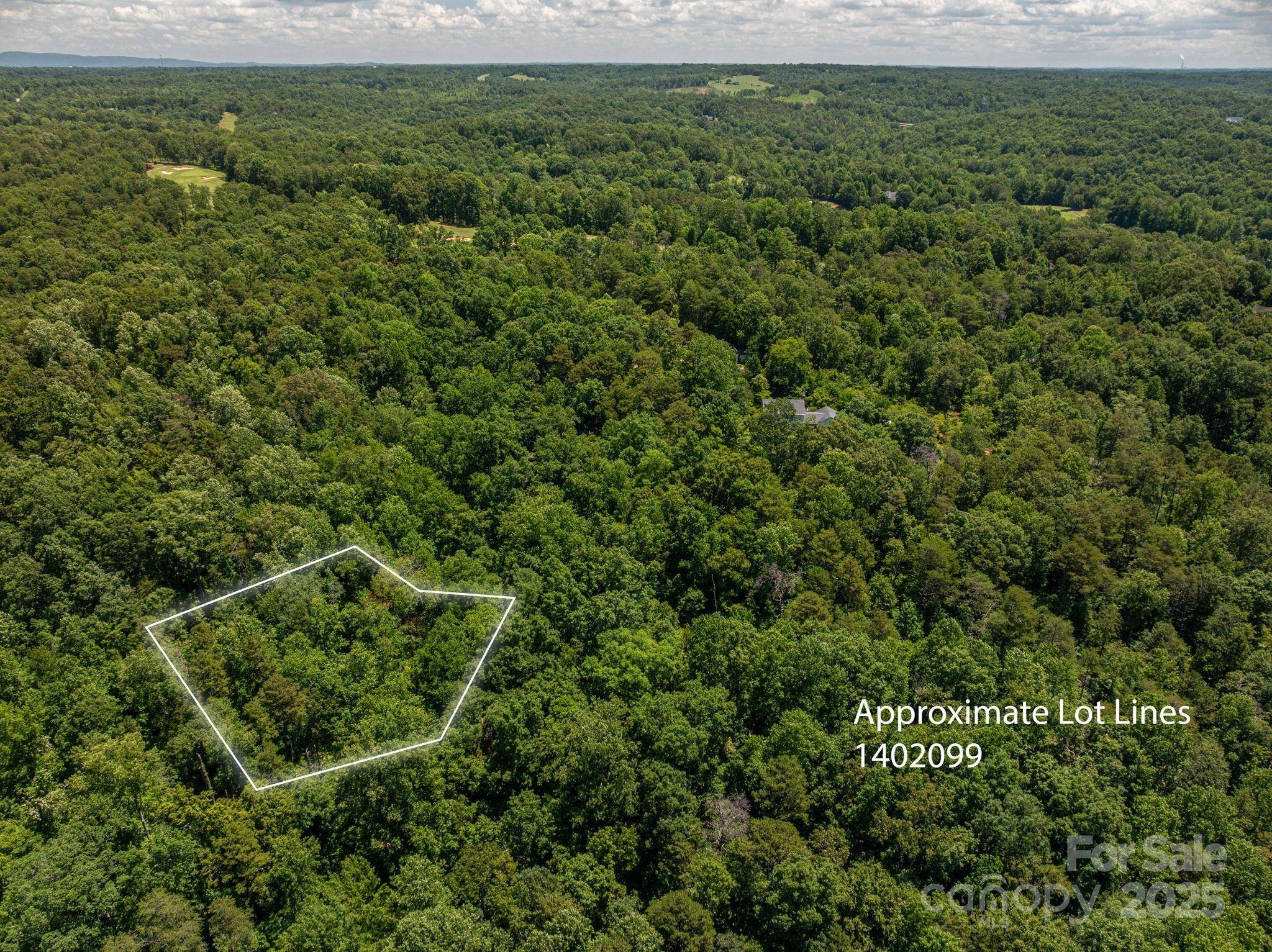 Lot 169 Coxe RD, Rutherfordton, NC 28139