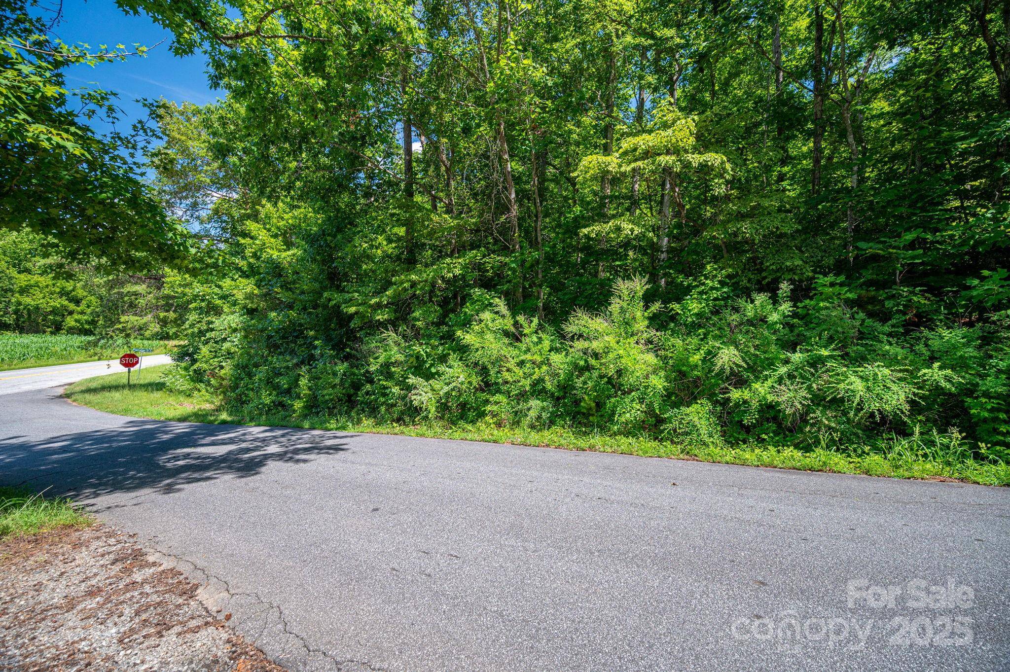 Lot 160 Coxe RD, Rutherfordton, NC 28139