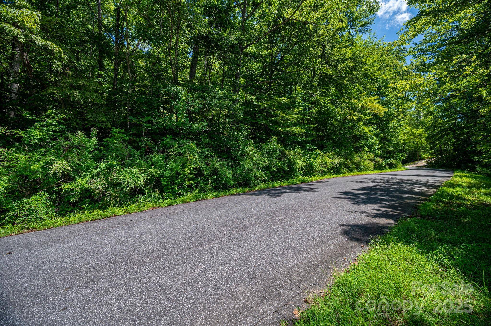 Lot 160 Coxe RD, Rutherfordton, NC 28139