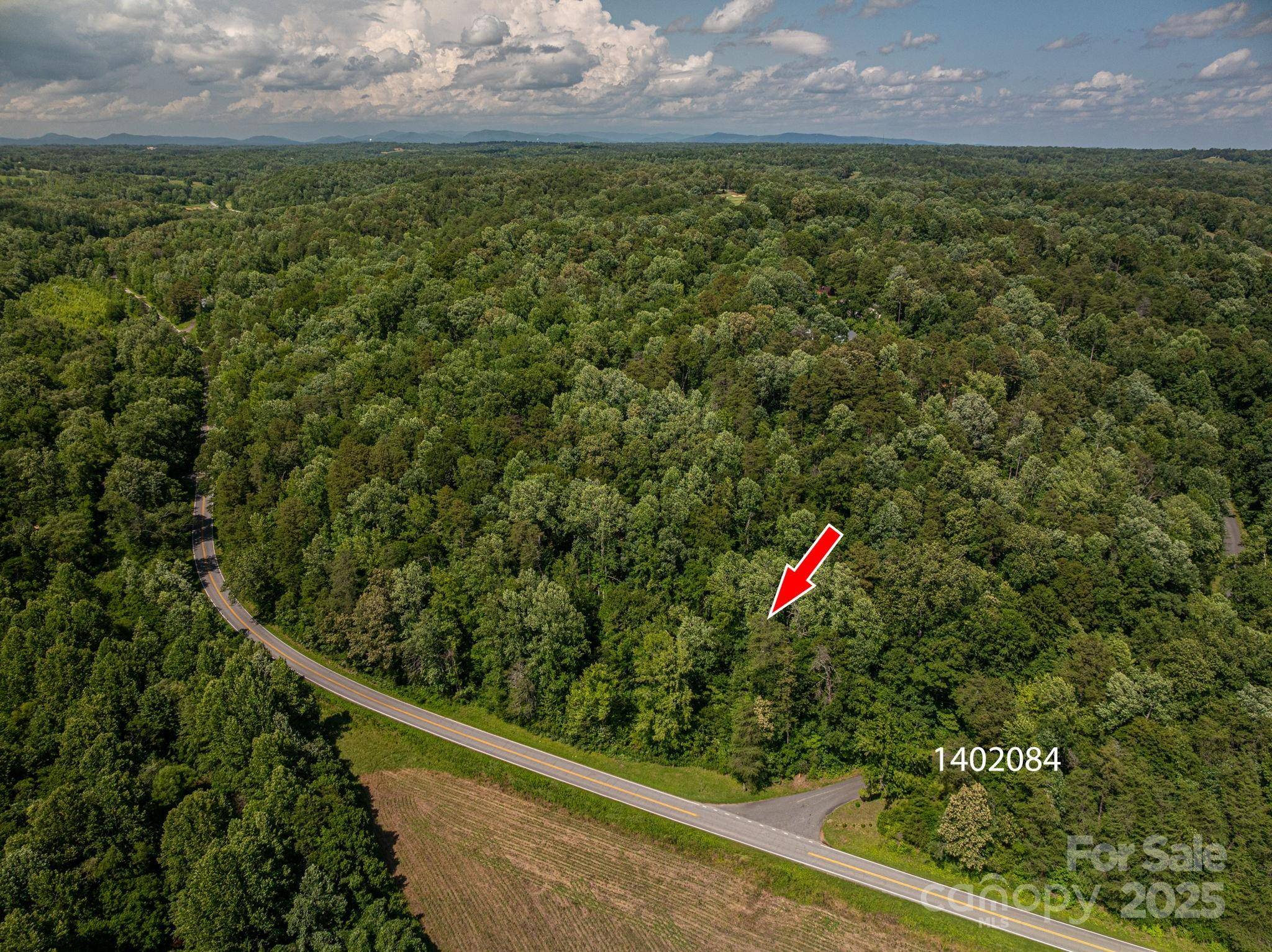 Lot 160 Coxe RD, Rutherfordton, NC 28139