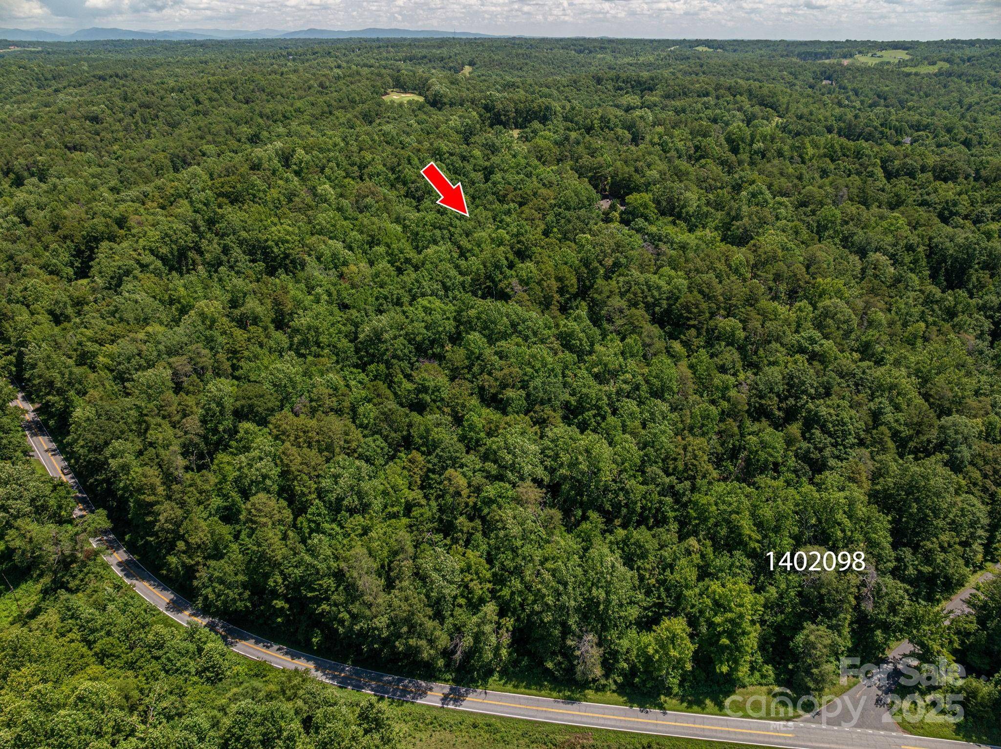 Lot 170 Coxe RD, Rutherfordton, NC 28139