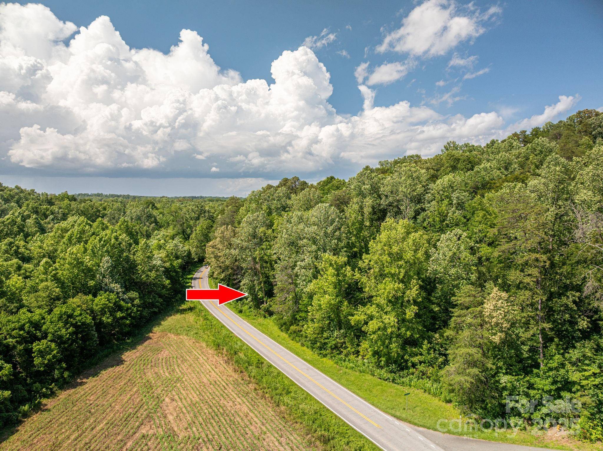 Lot 161 Coxe RD, Rutherfordton, NC 28139