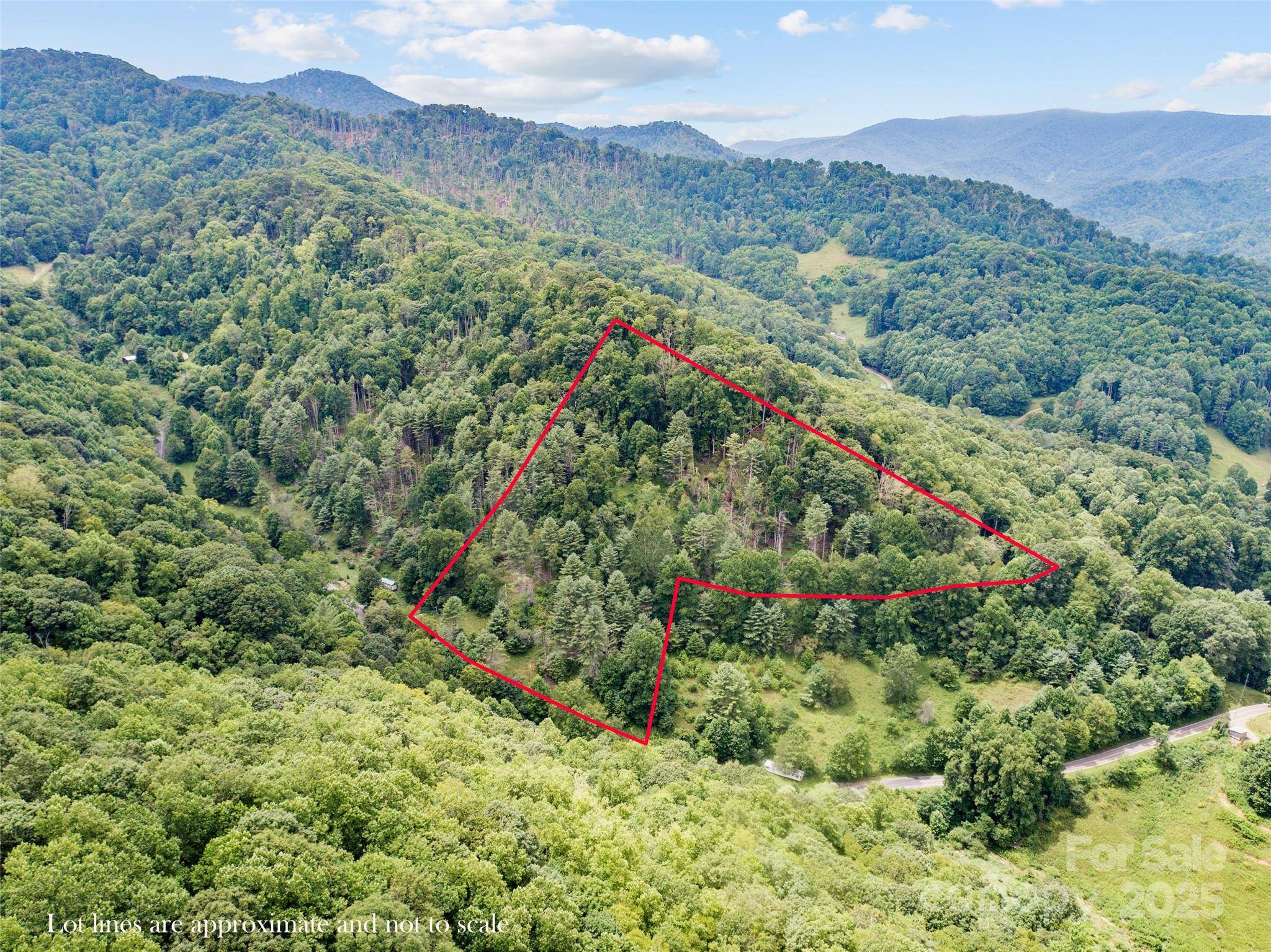 0000 Bee Log RD, Burnsville, NC 28714