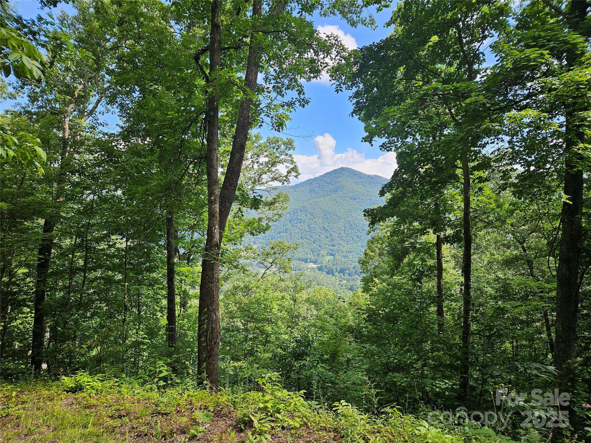 000 Big Boulder RDG #9, Maggie Valley, NC 28751