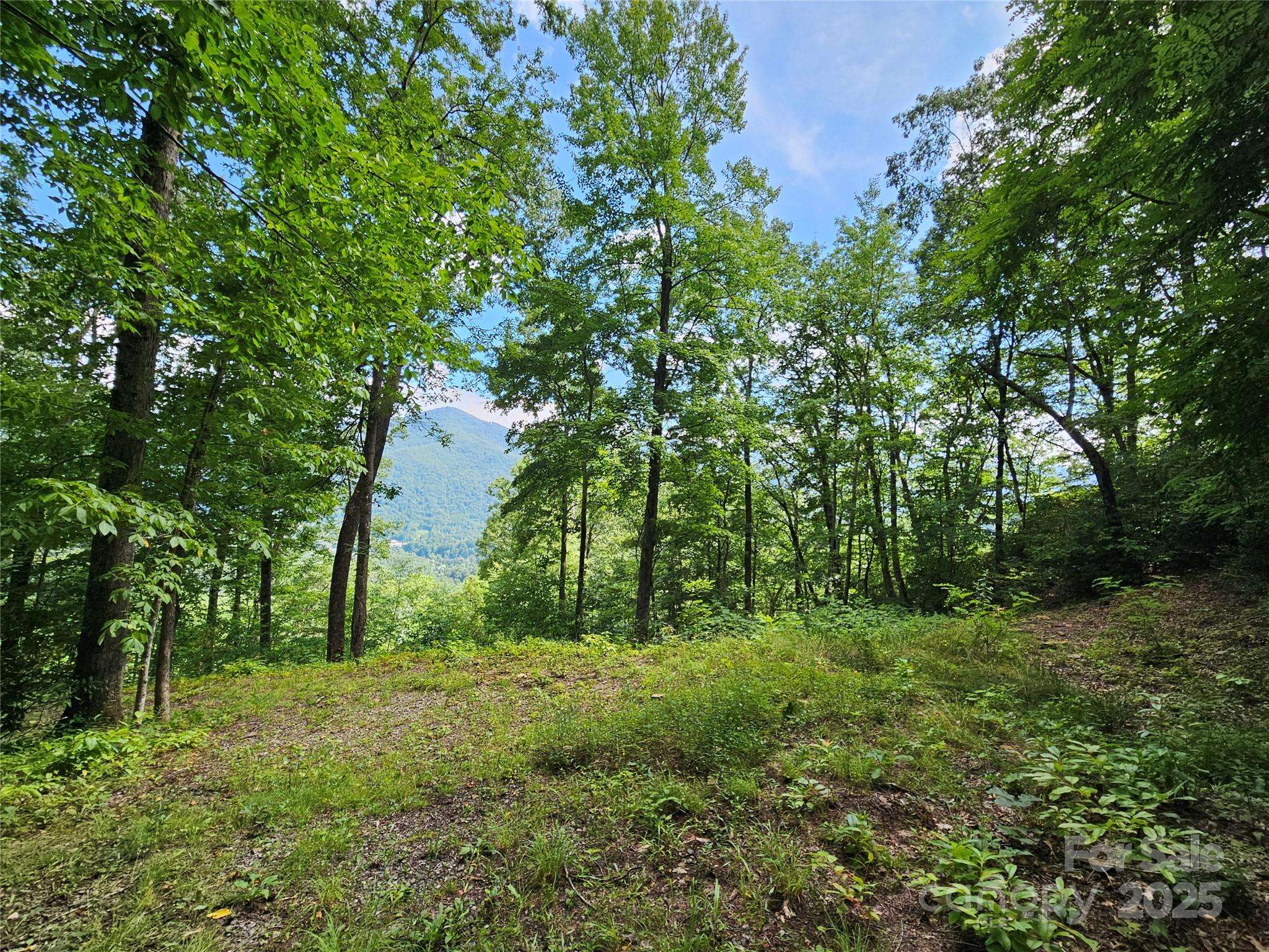 000 Big Boulder RDG #9, Maggie Valley, NC 28751