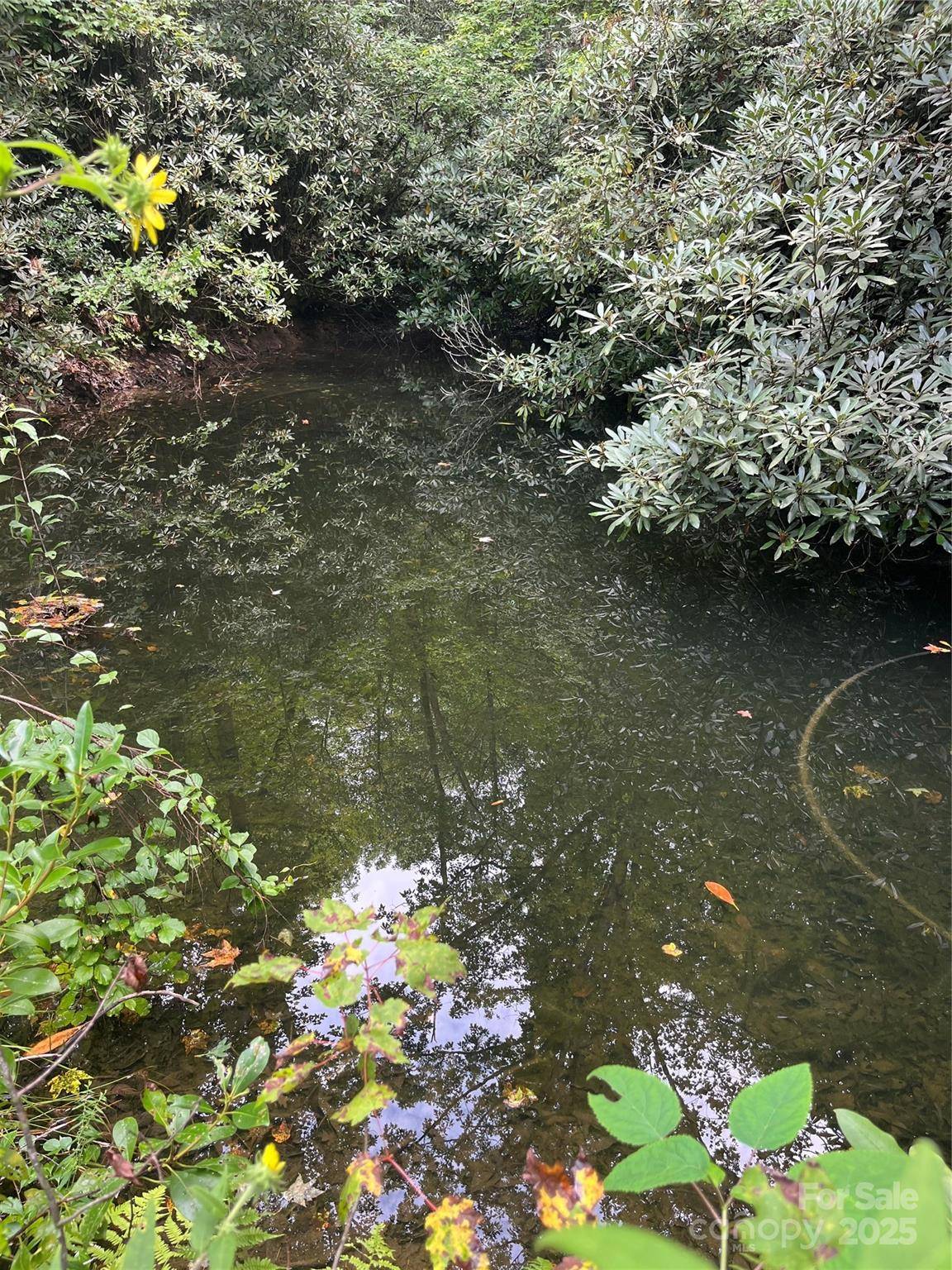 TBD Normcol RD, Pisgah Forest, NC 28768