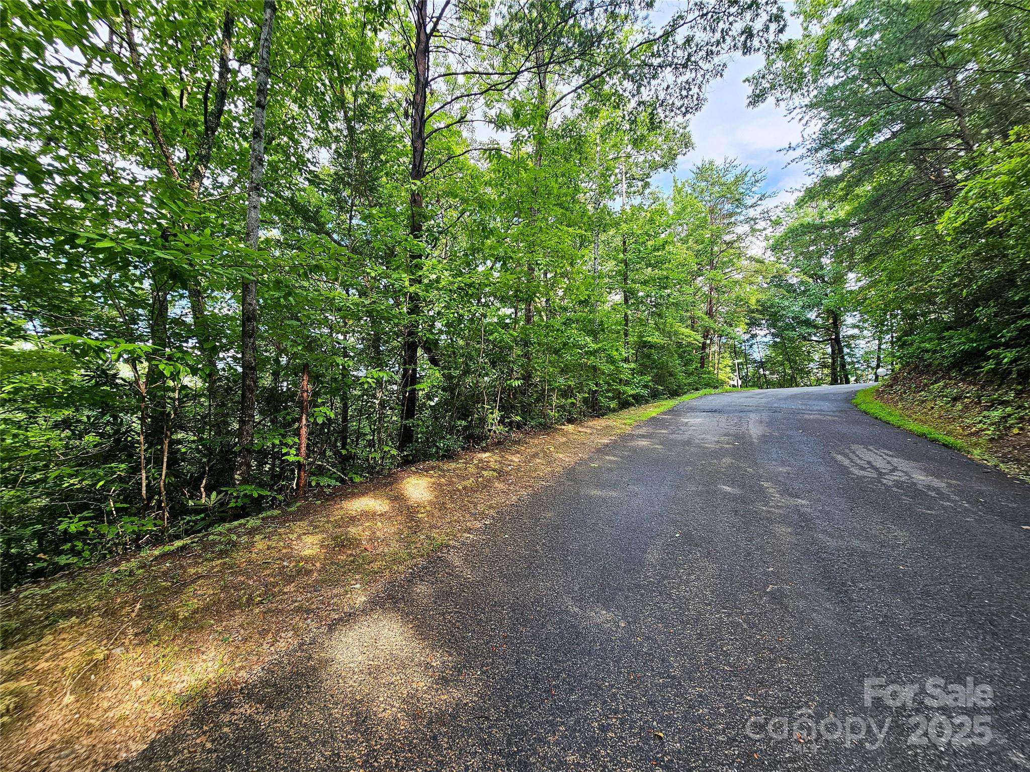 TBD Rumbling Bald RD #15, Lake Lure, NC 28746