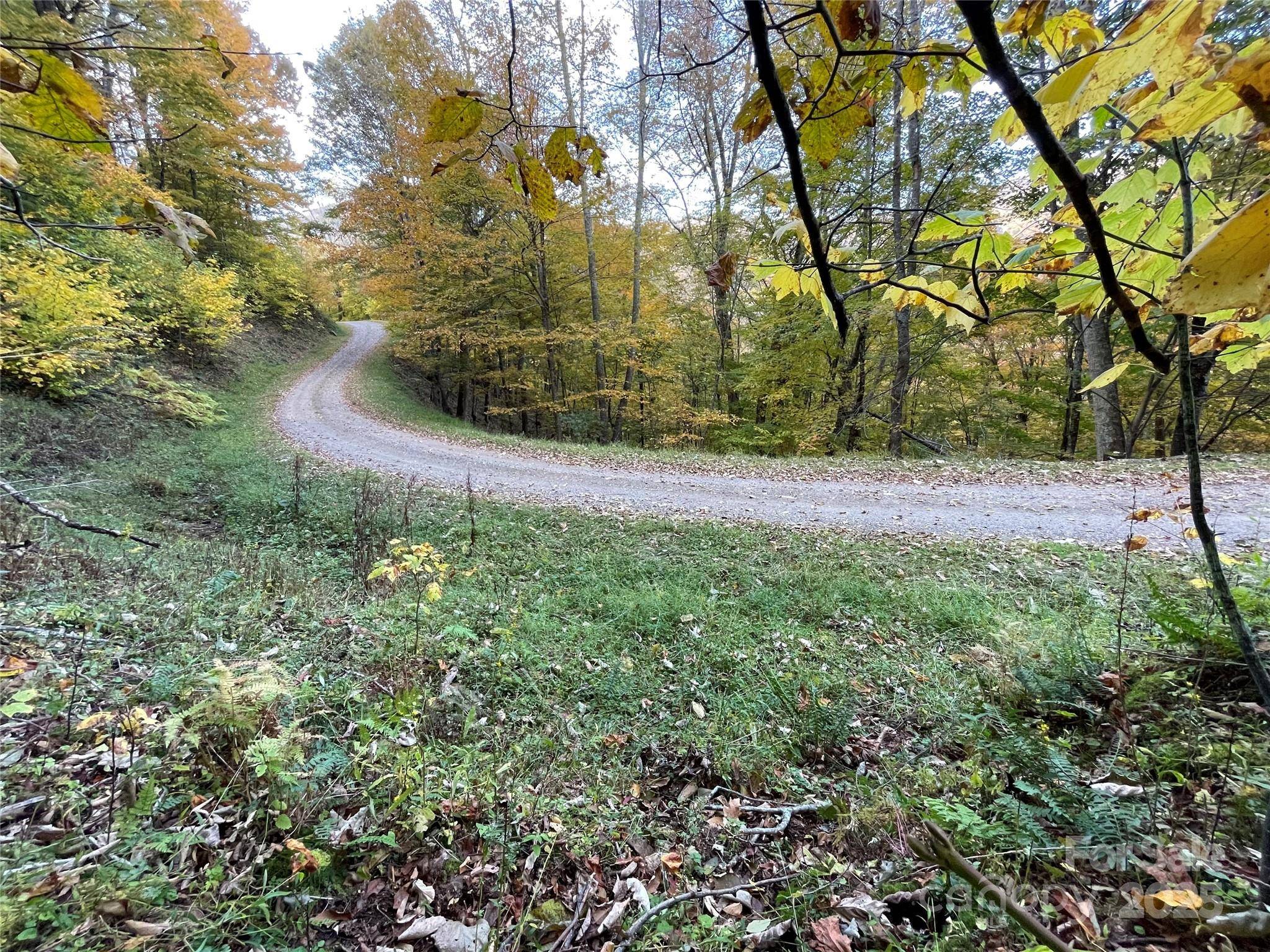 96 Chestnut LN #96, Mars Hill, NC 28754